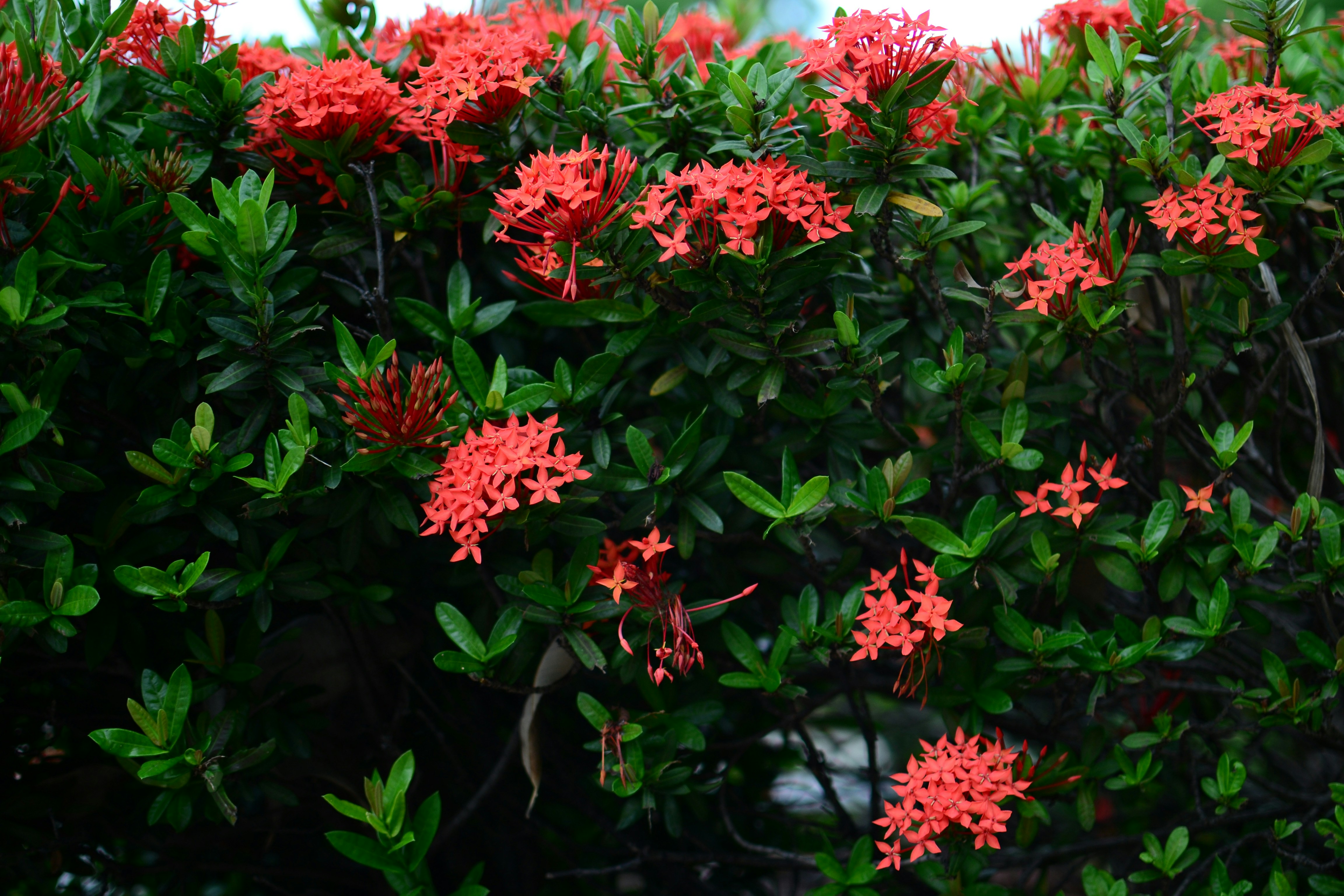 Photo by kuyuneth2543