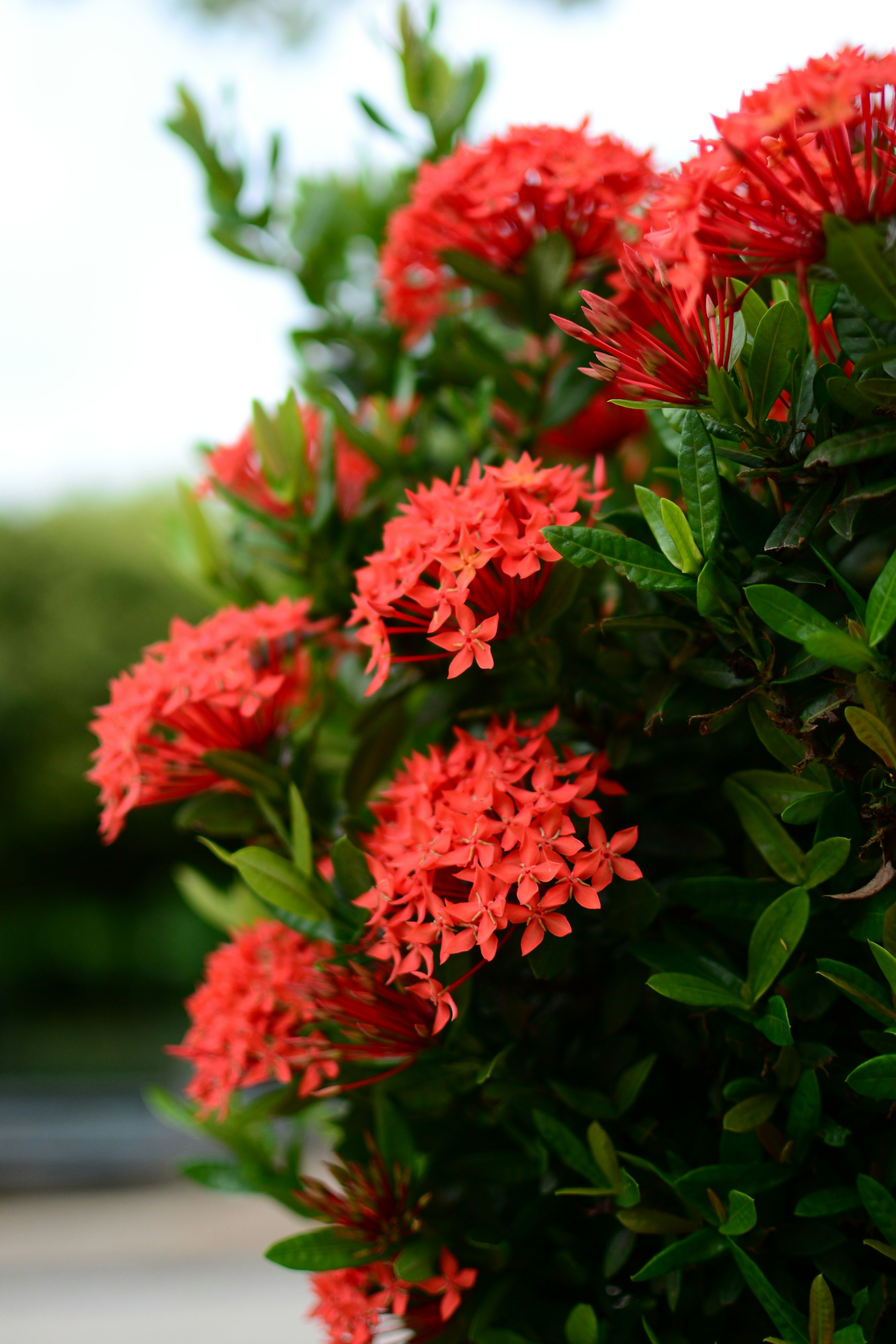 Photo by kuyuneth2543