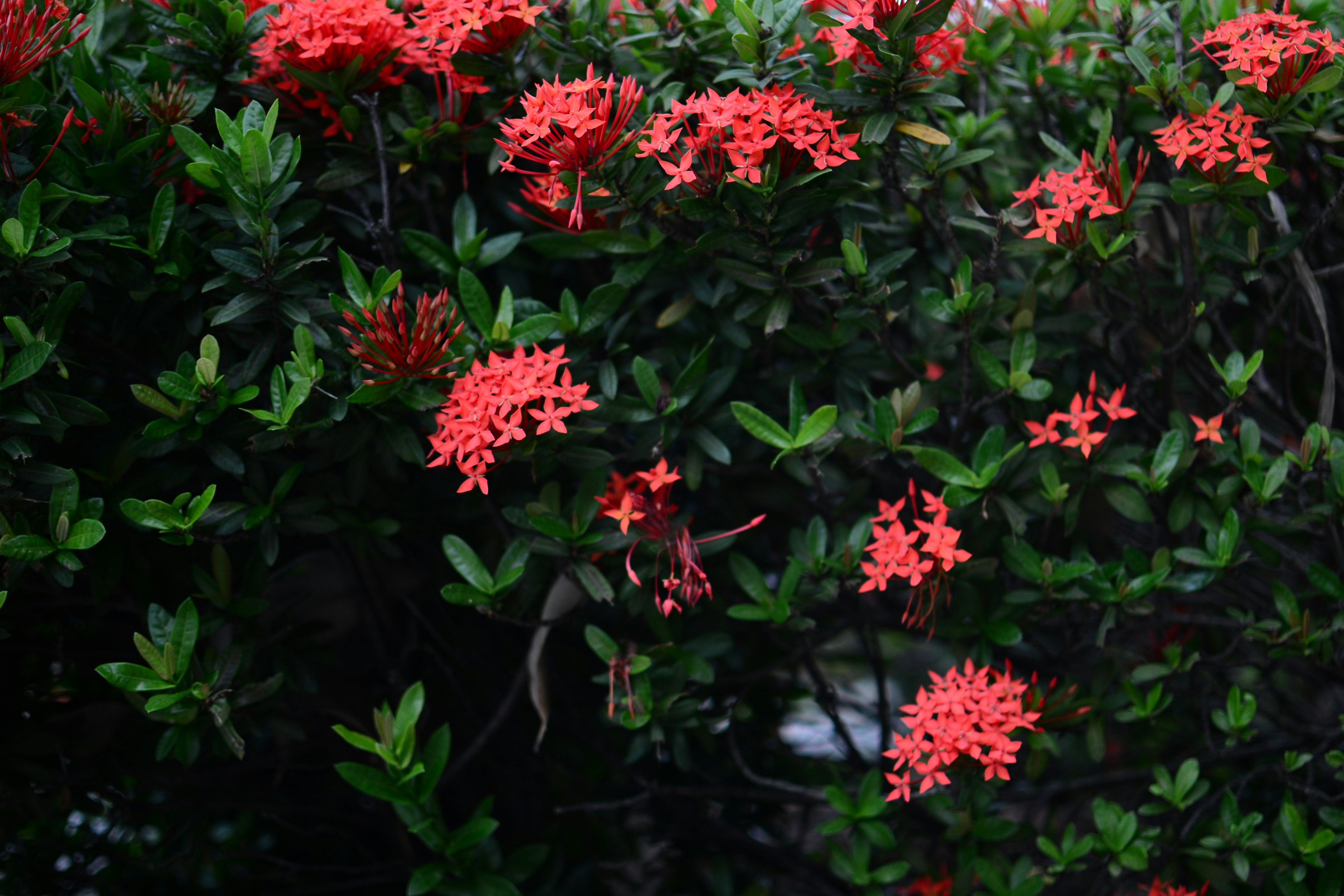 Photo by kuyuneth2543