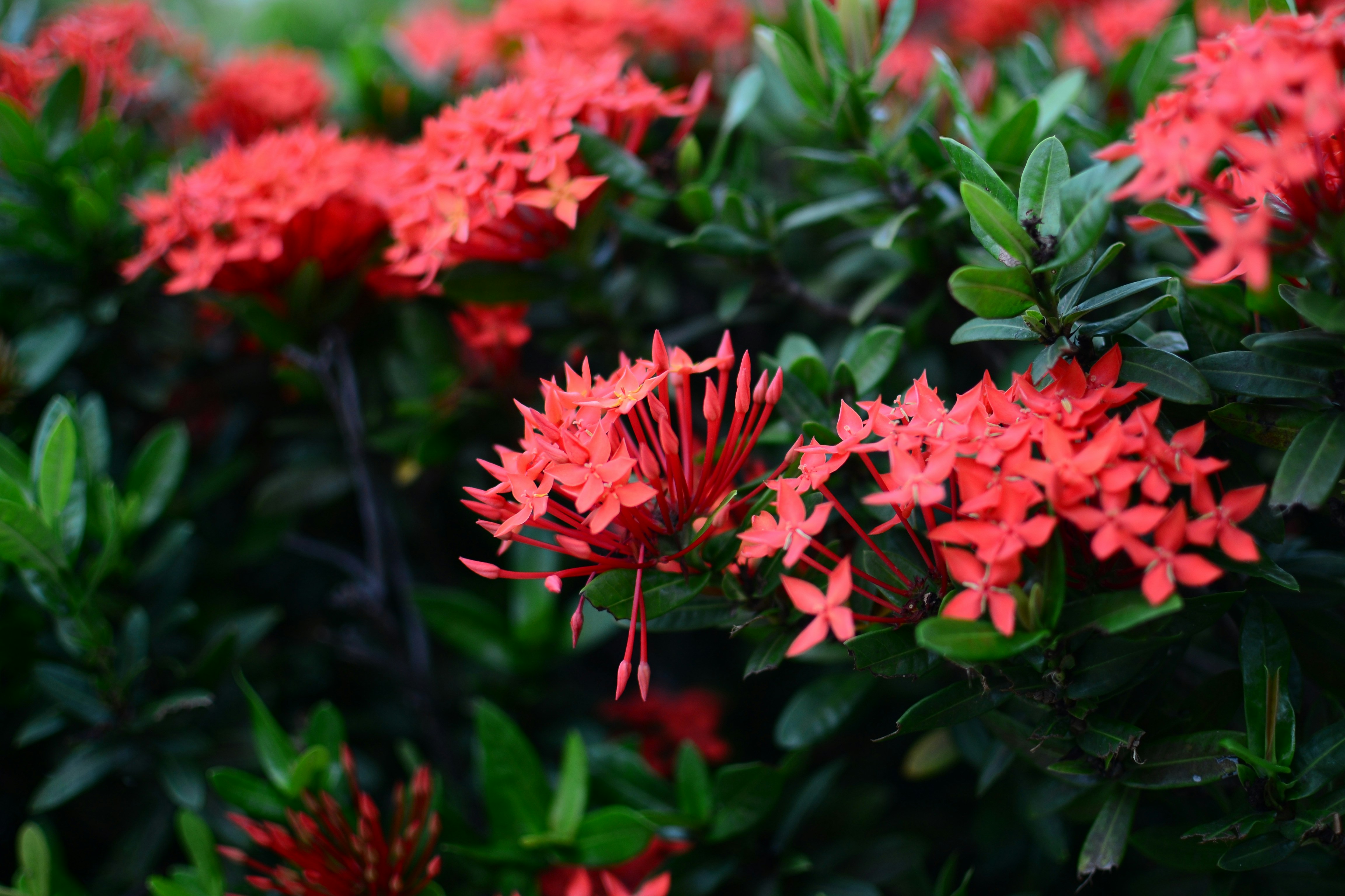 Photo by kuyuneth2543