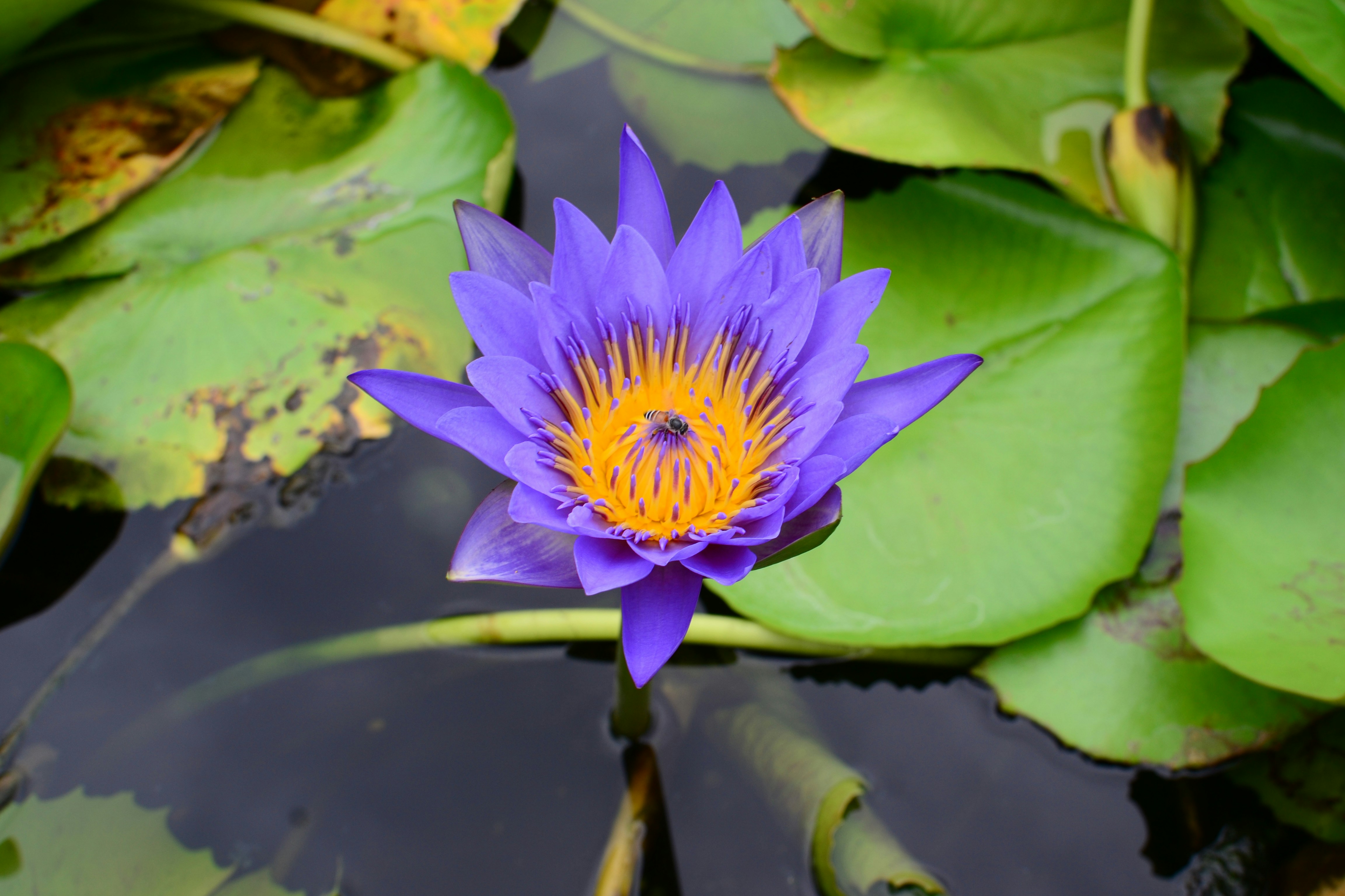 Photo by kuyuneth2543