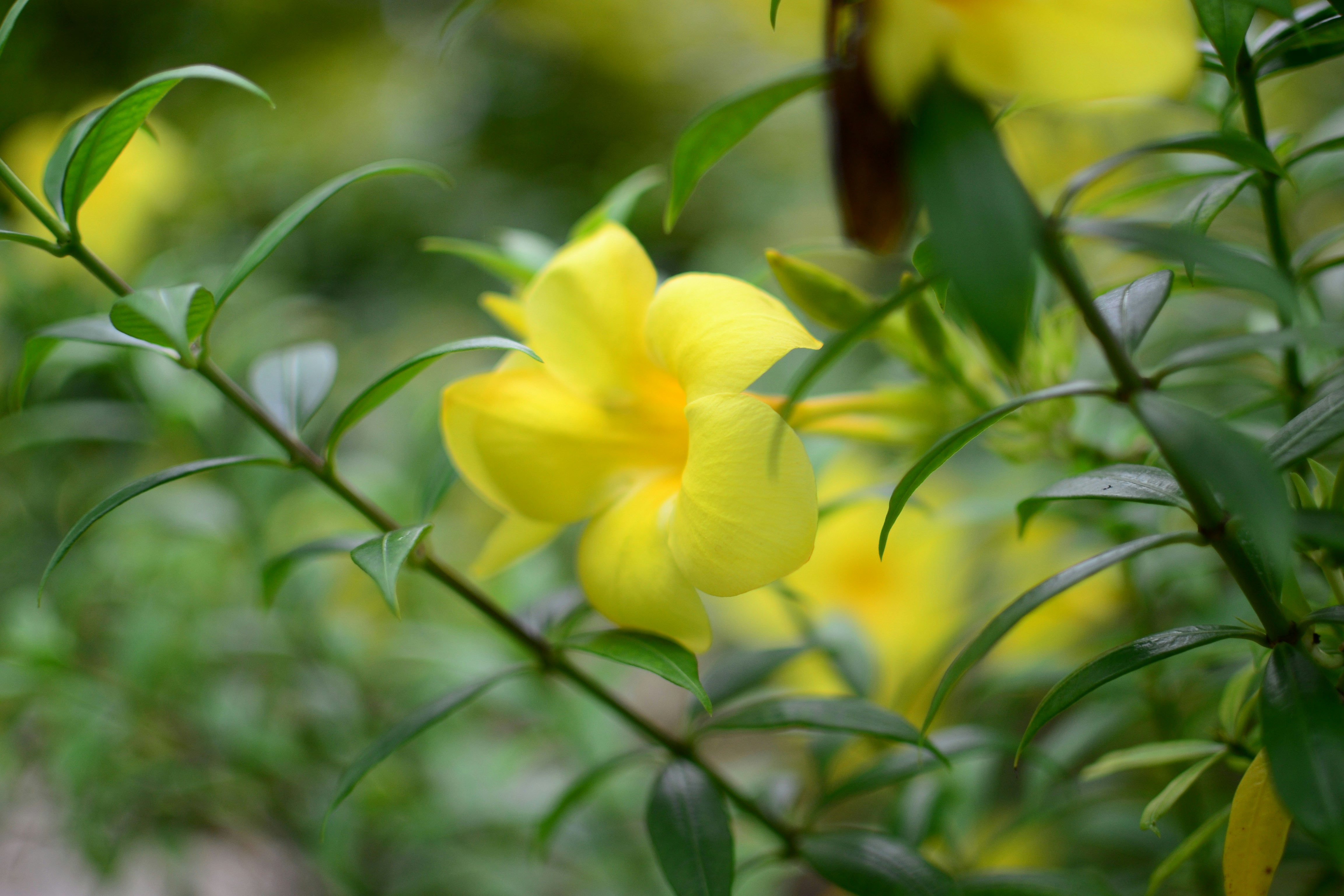 Photo by kuyuneth2543