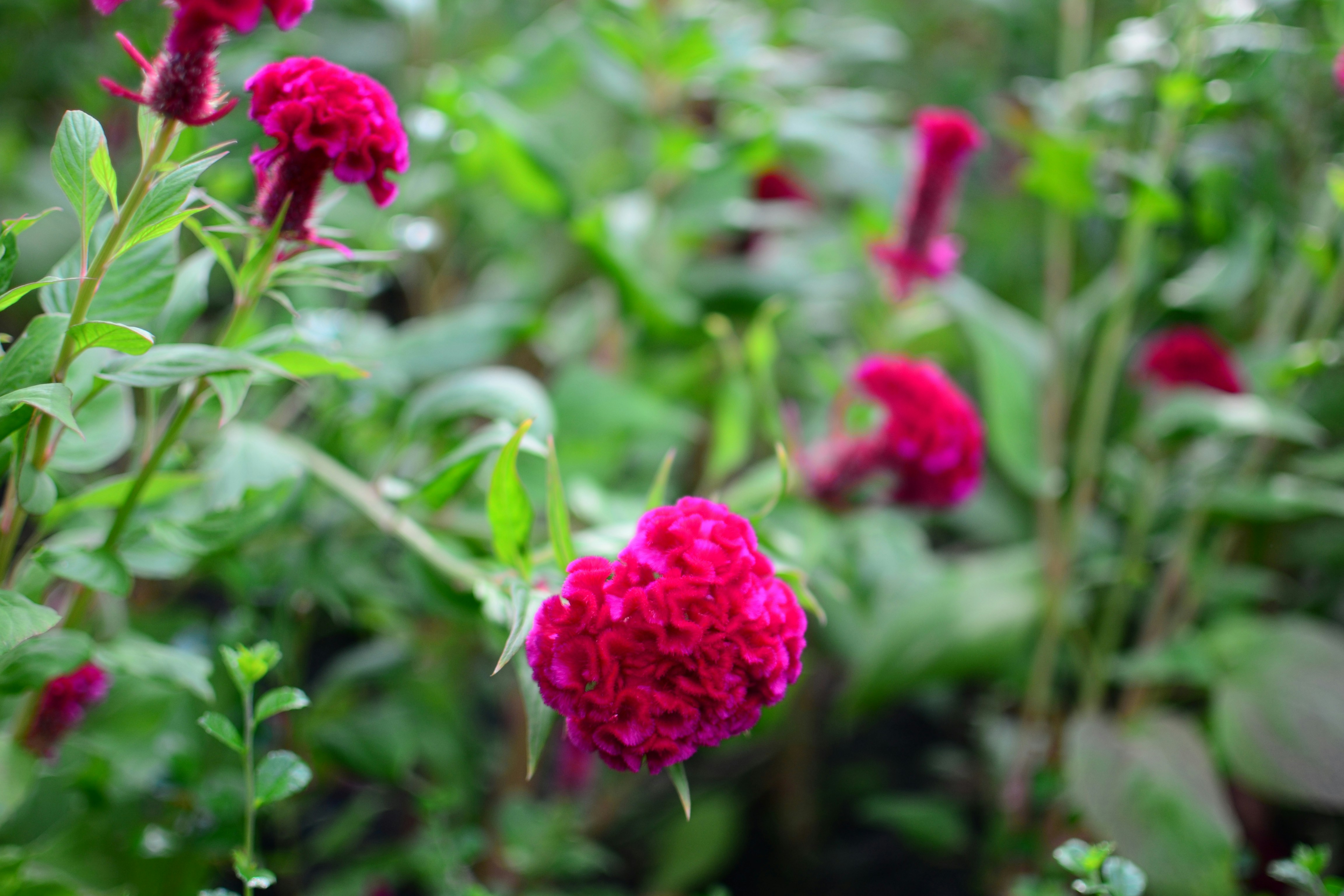 Photo by kuyuneth2543