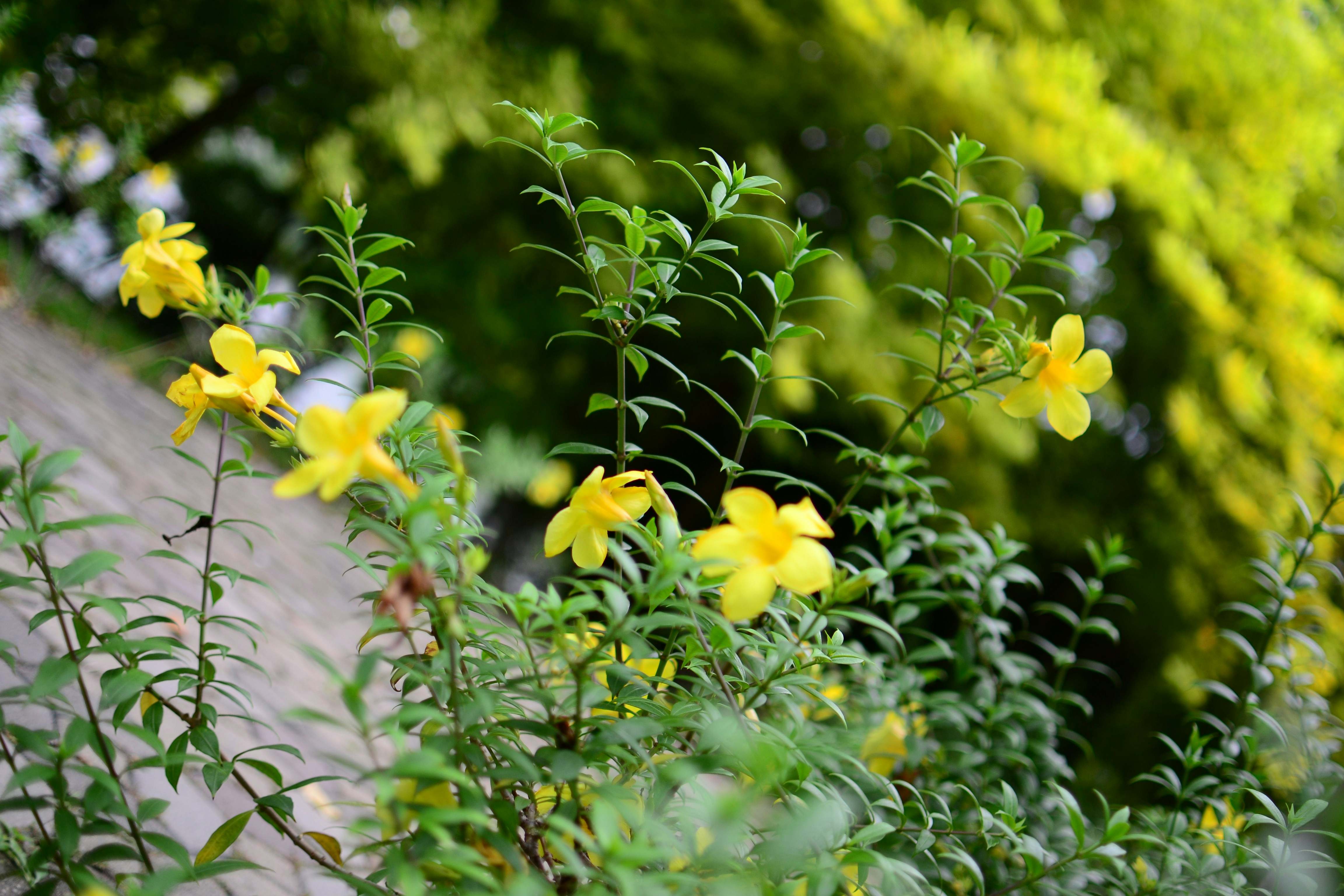 Photo by kuyuneth2543