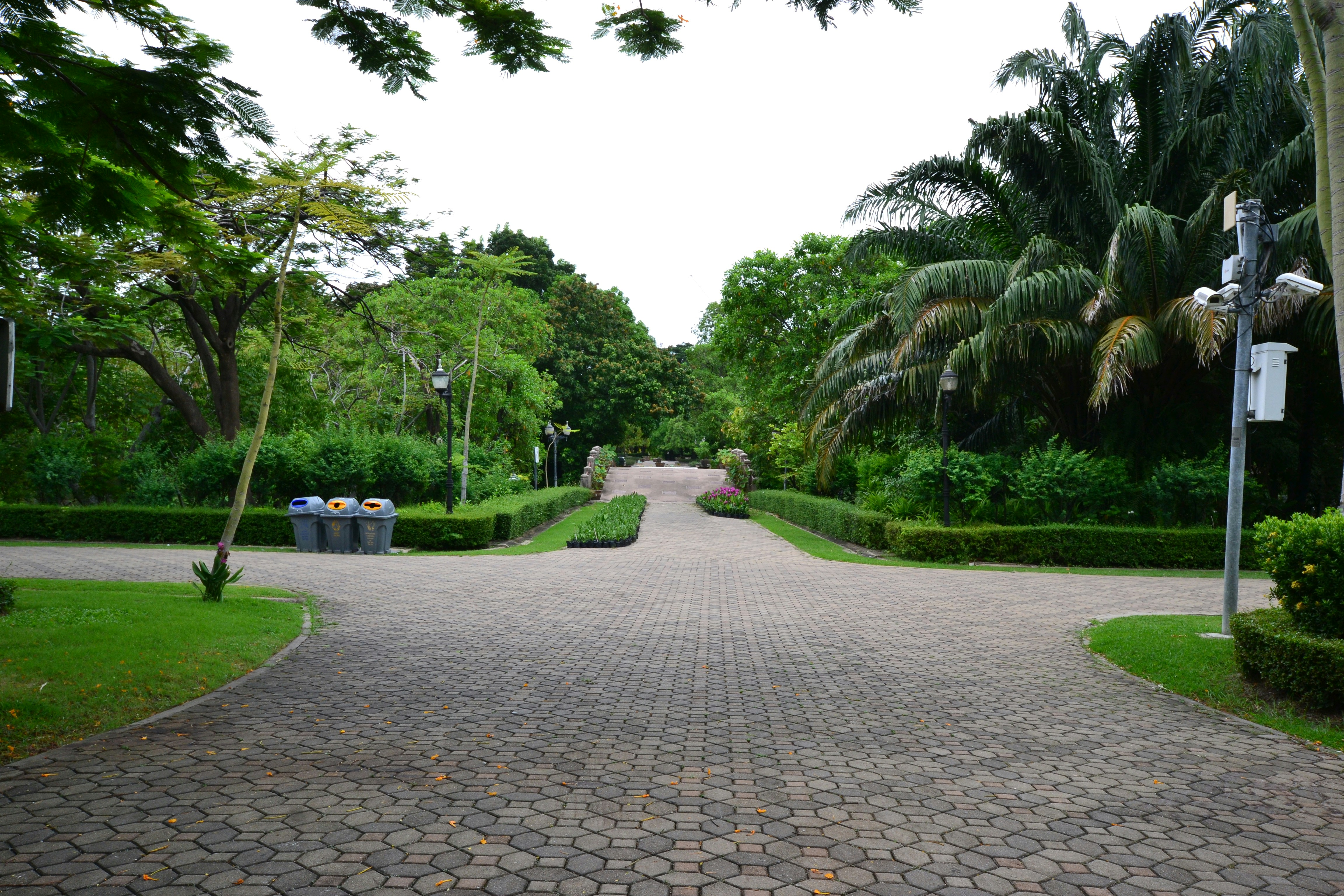 Photo by kuyuneth2543