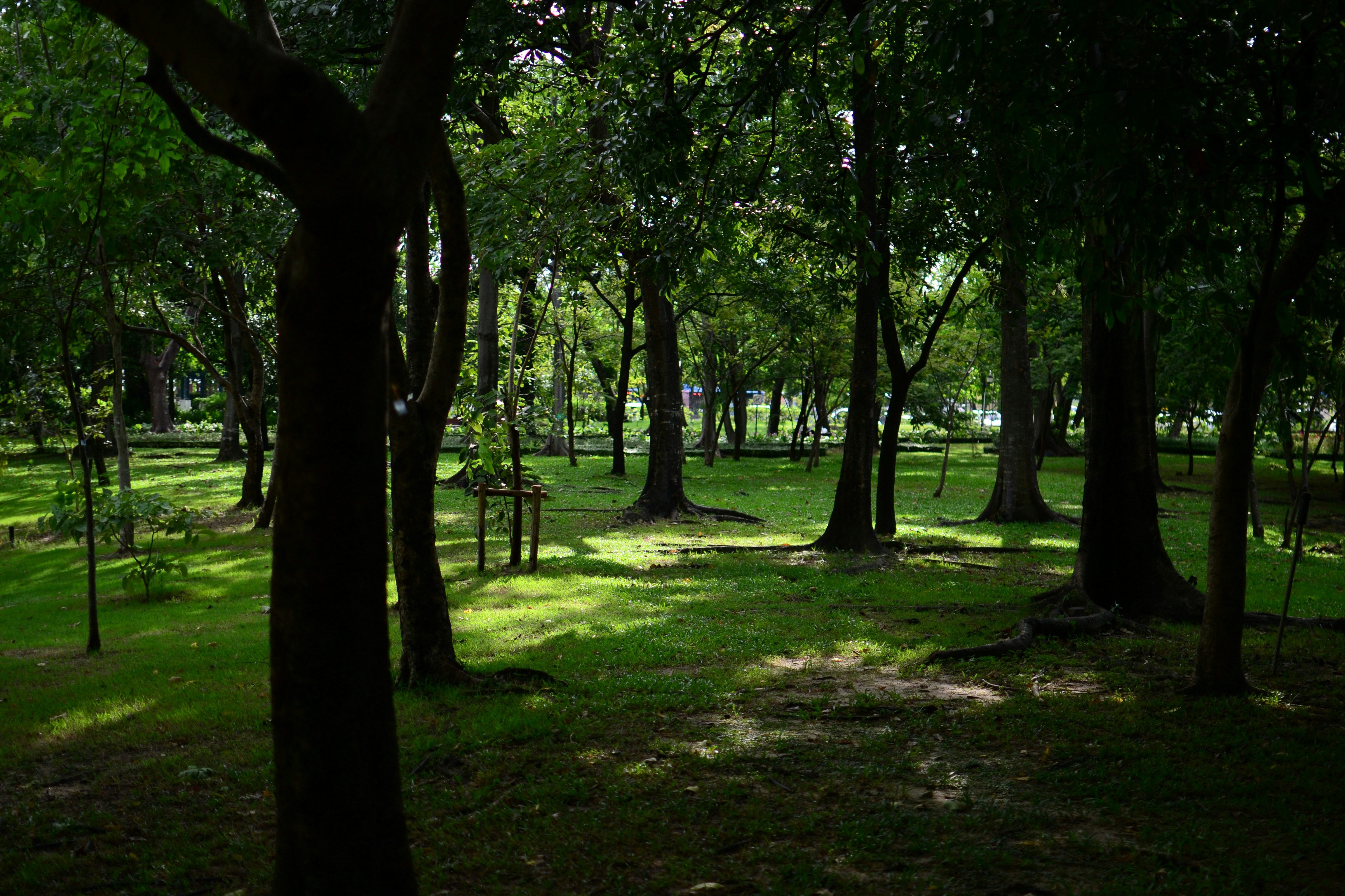 Photo by kuyuneth2543