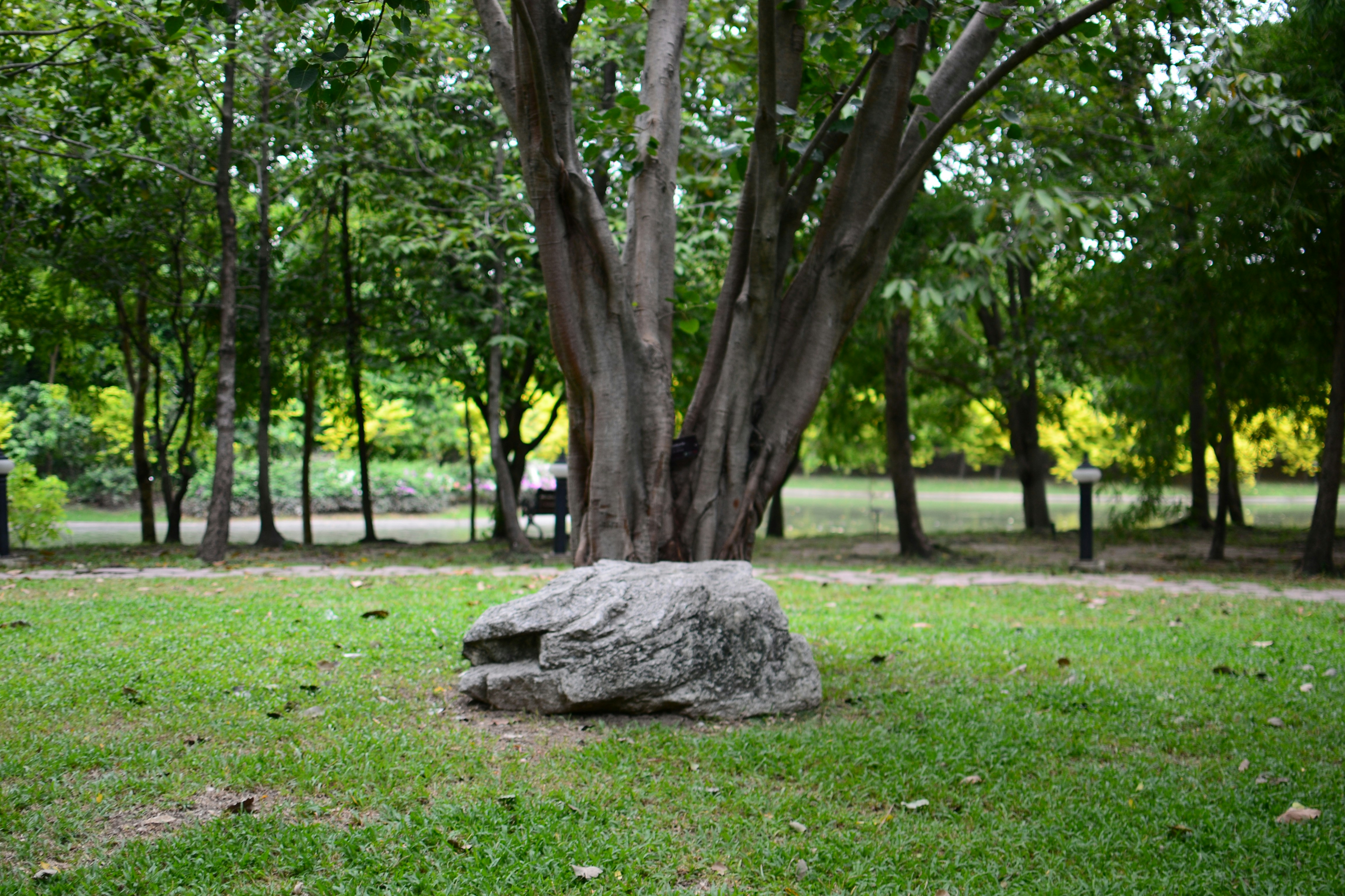 Photo by kuyuneth2543