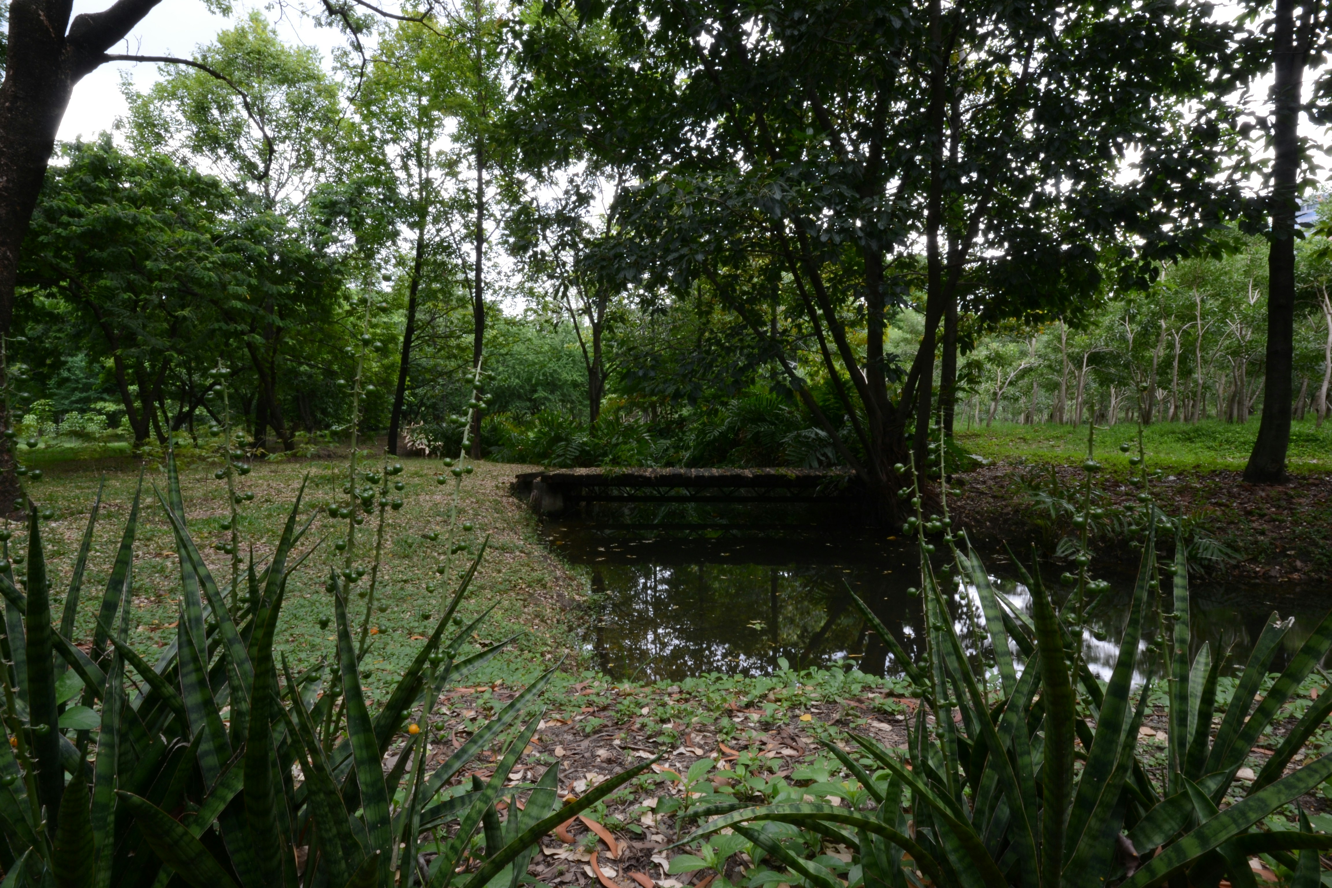 Photo by kuyuneth2543