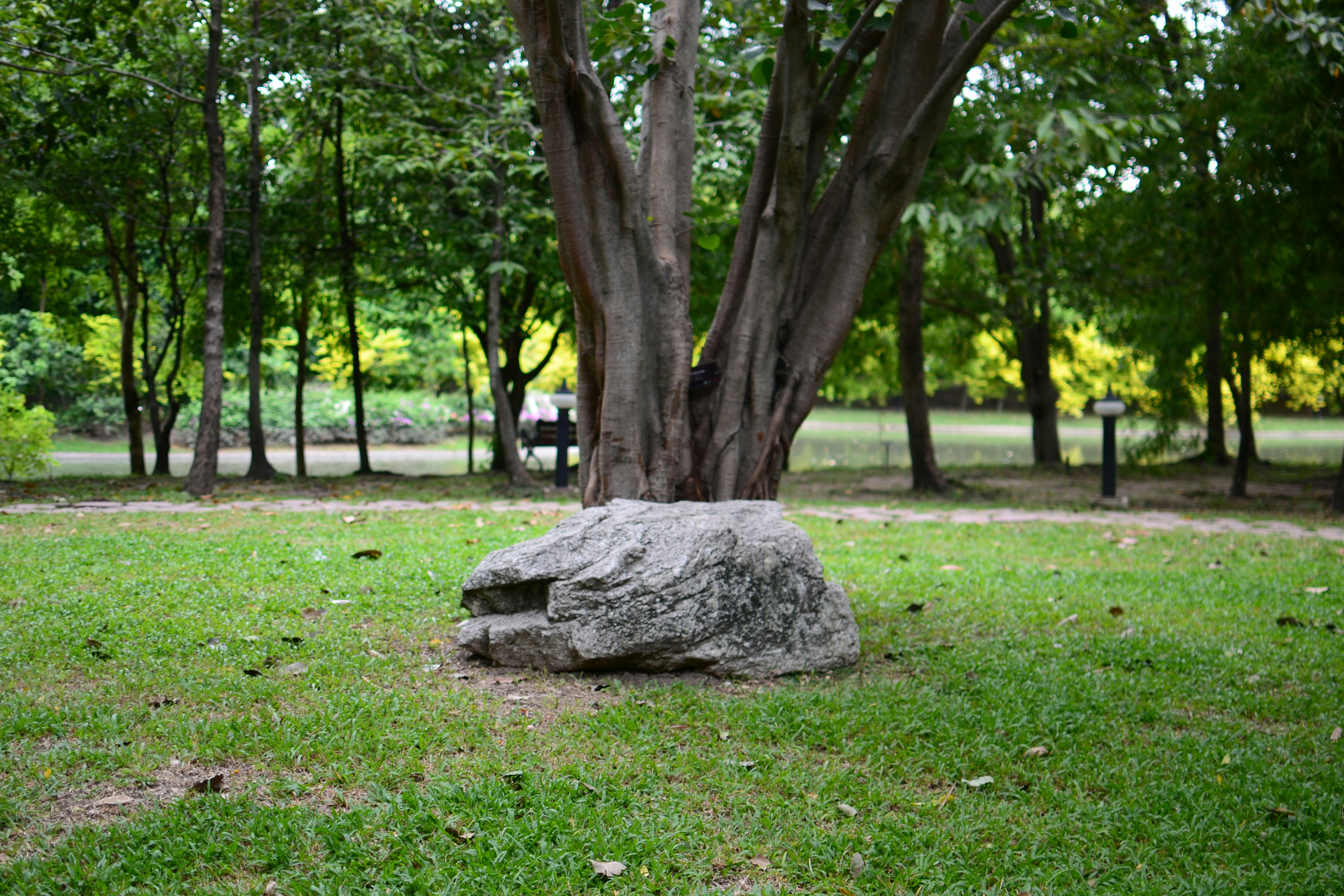 Meyer Park