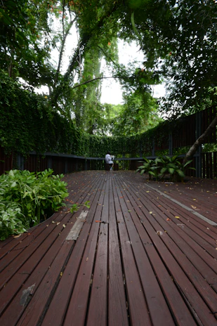 A beautiful red sandalwood deck overlooking a quiet garden space.