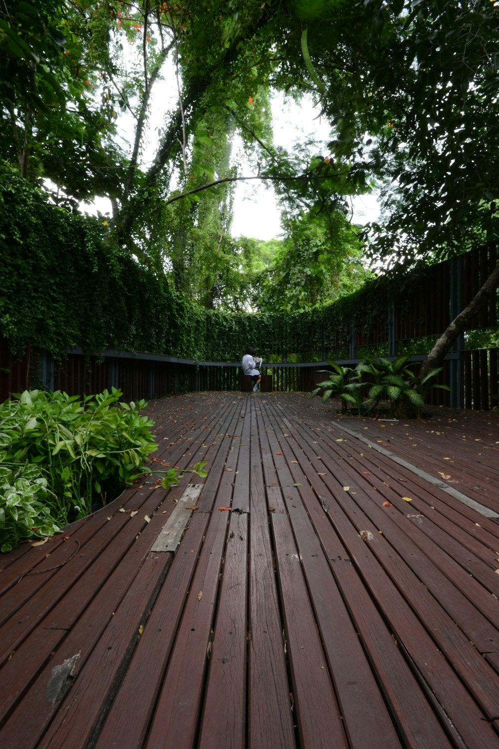 a person is walking on a wooden walkway