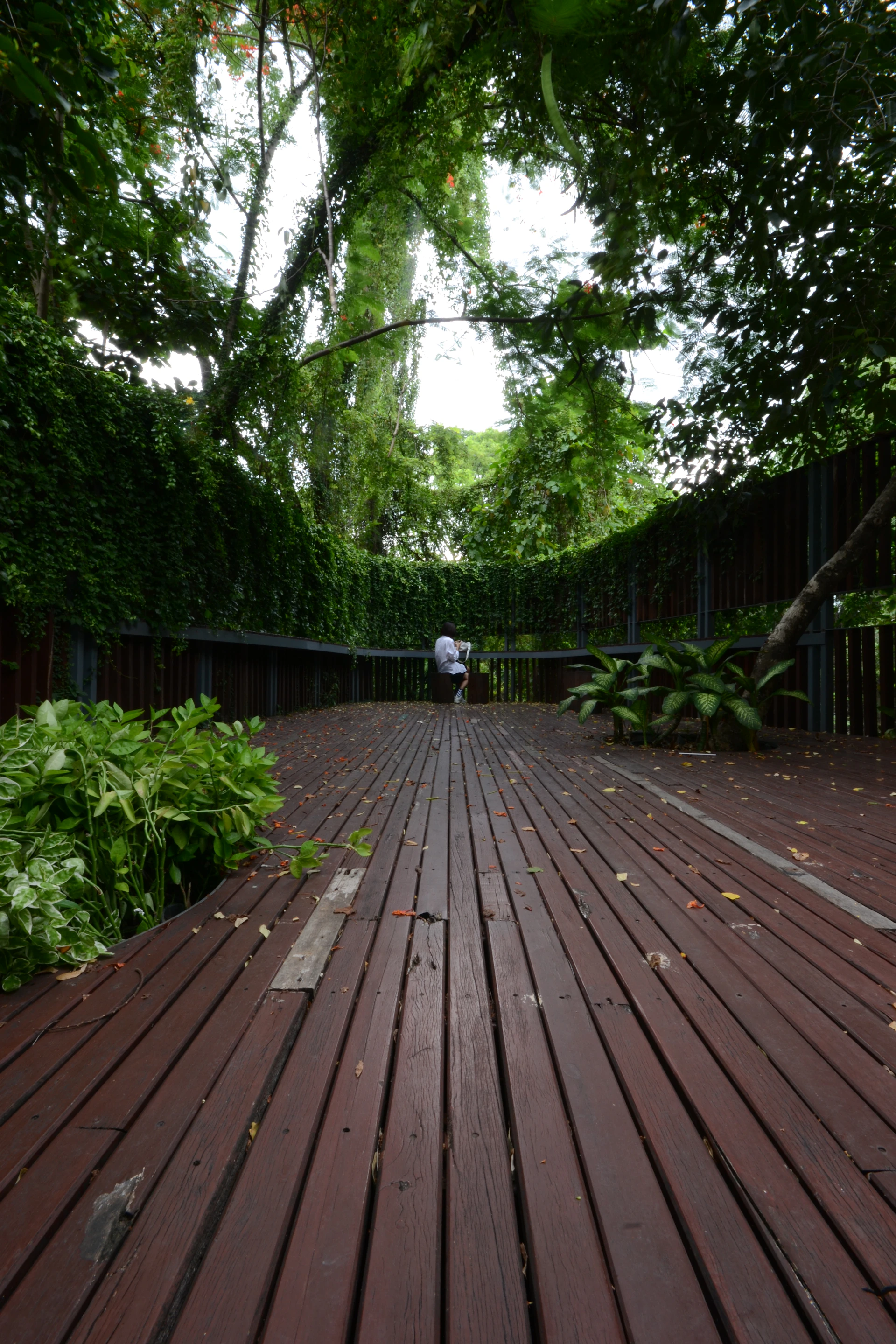 The inviting wooden deck with comfortable seating overlooking a peaceful garden.