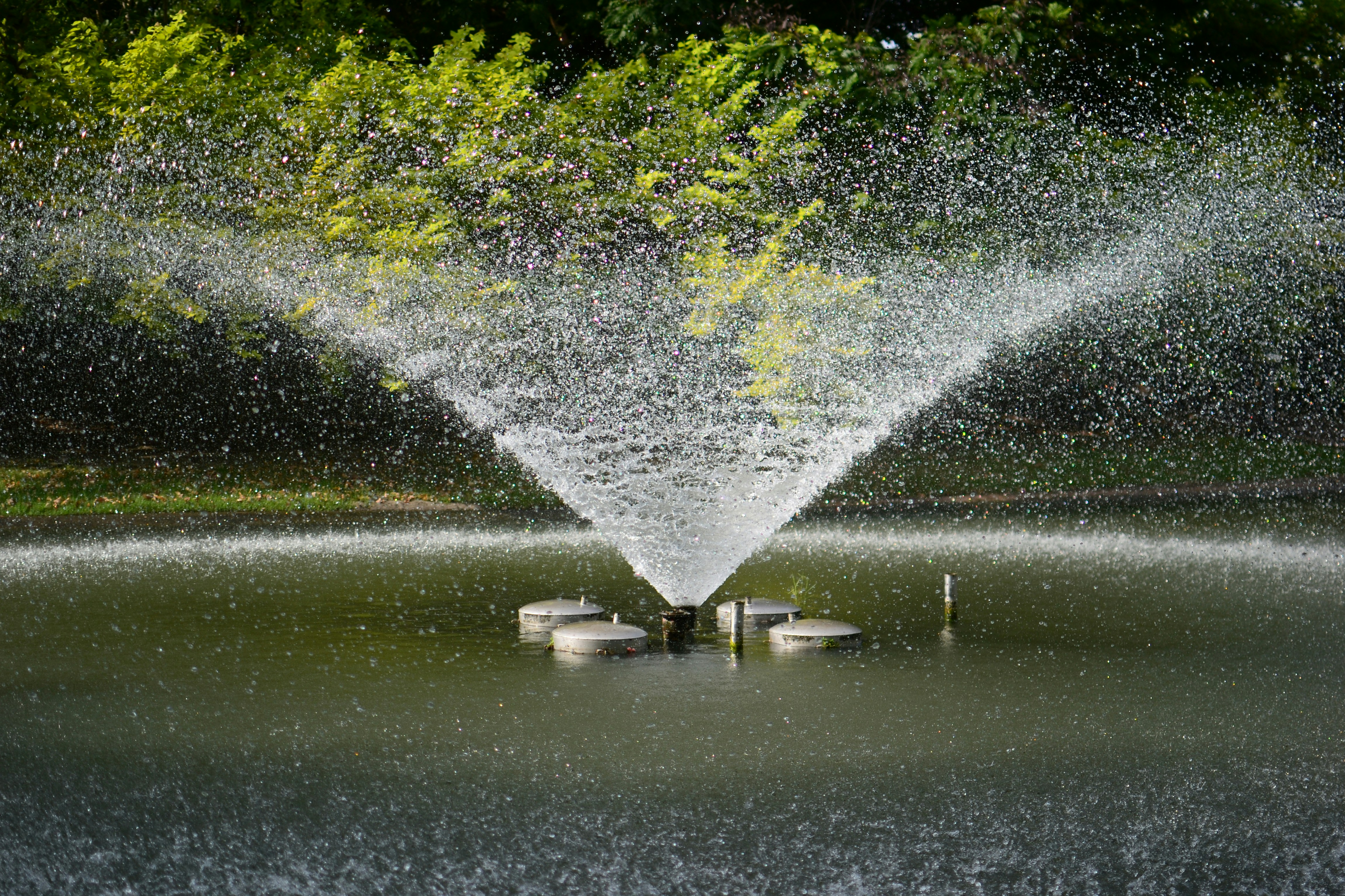 a fountain spewing water into a lake surrounded by trees
