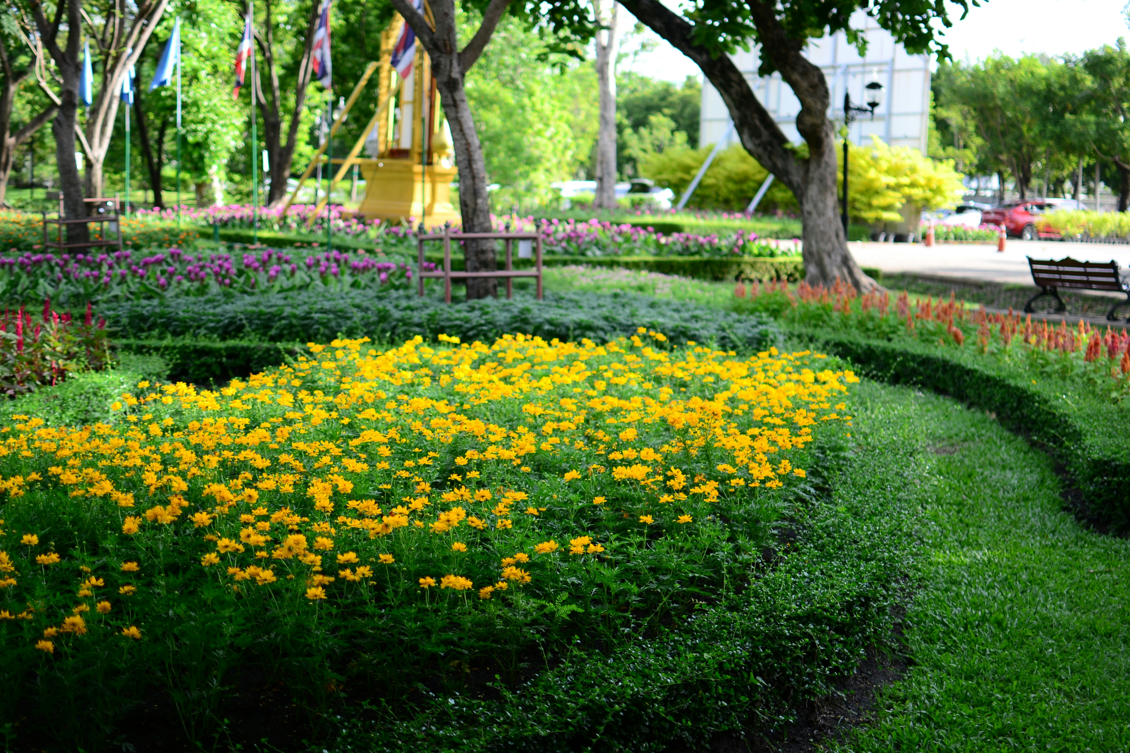Kuwkwang Garden สวนสาธารณะ คูขวาง