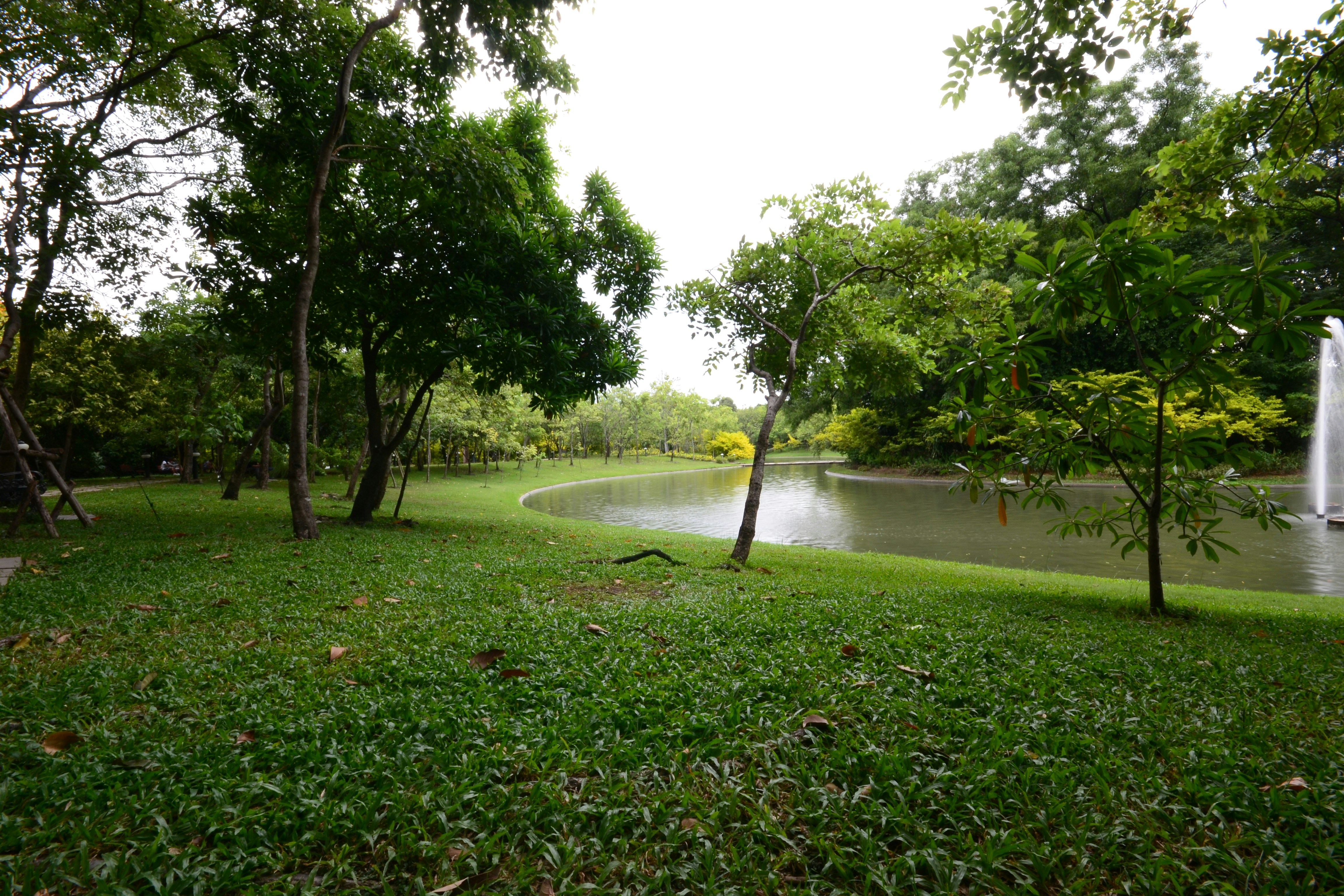 Photo by kuyuneth2543