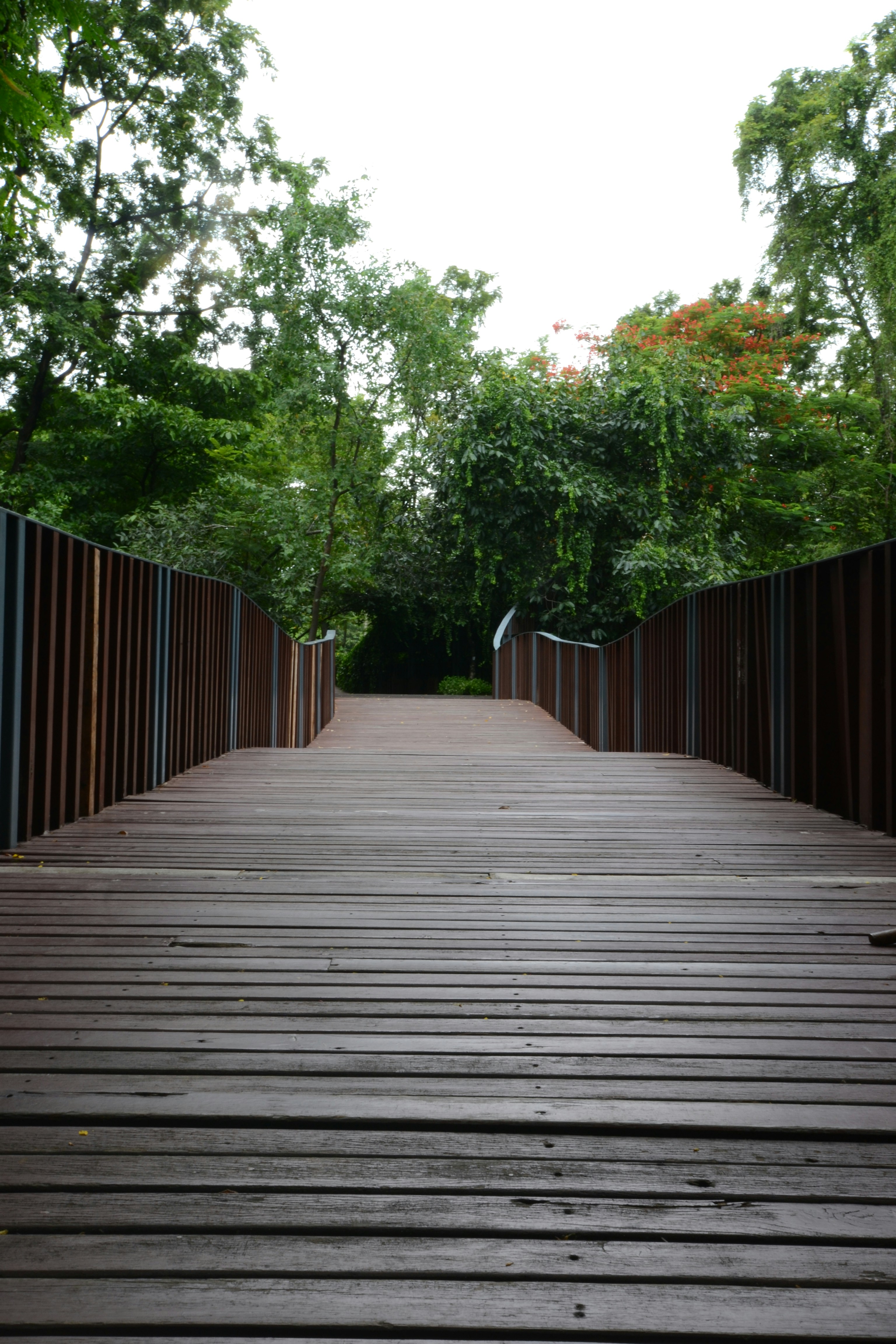 Photo by kuyuneth2543