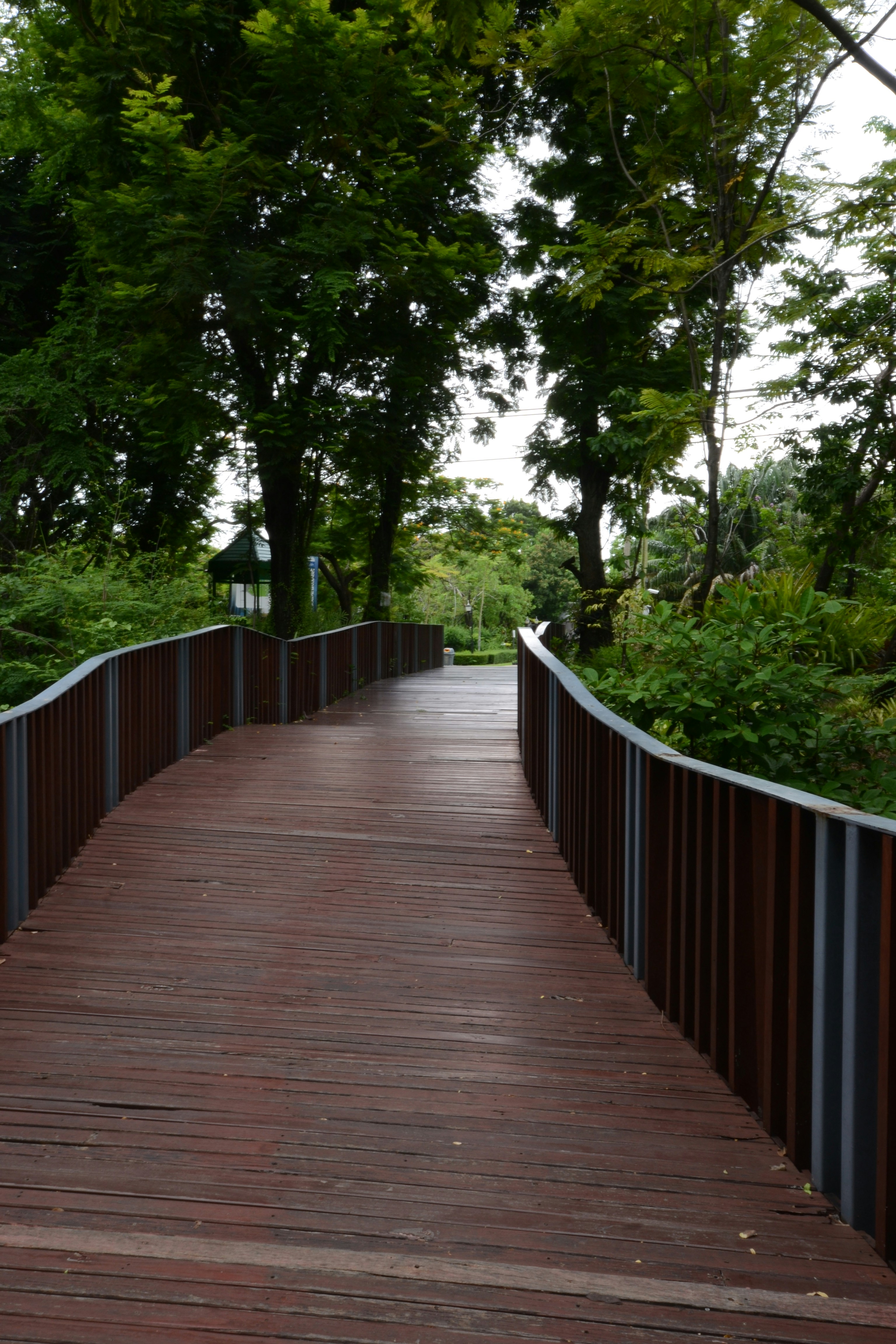 Photo by kuyuneth2543