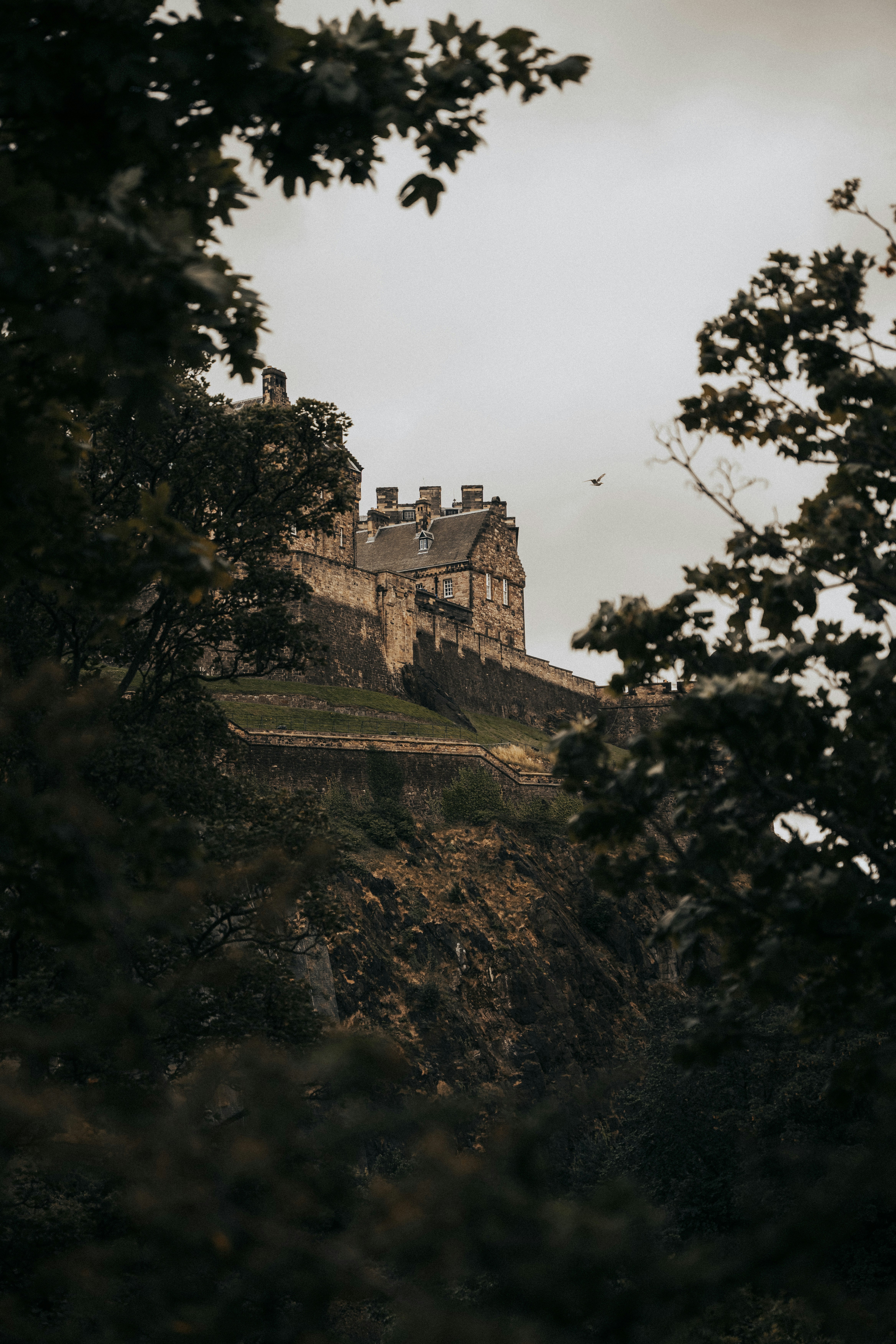 Photo by bryanbrittos