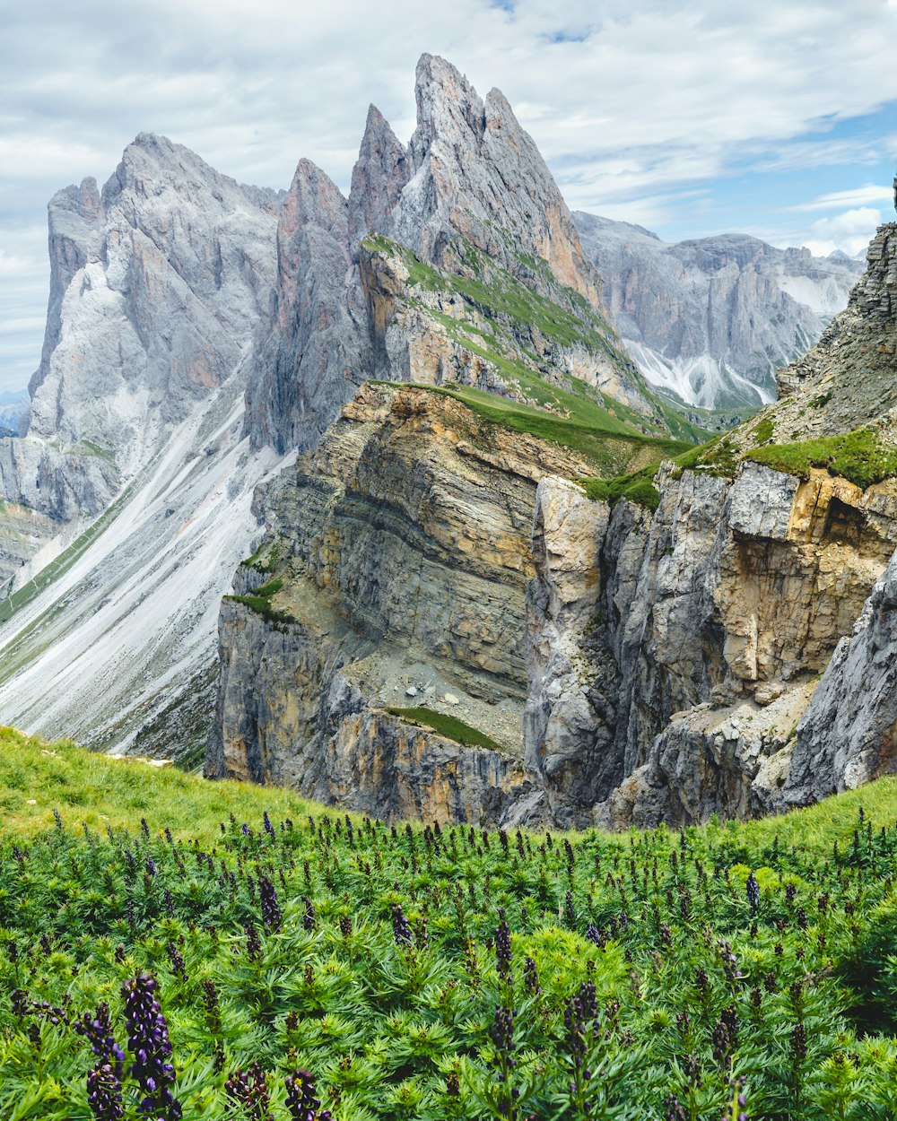 a mountain range with a grassy field in the foreground