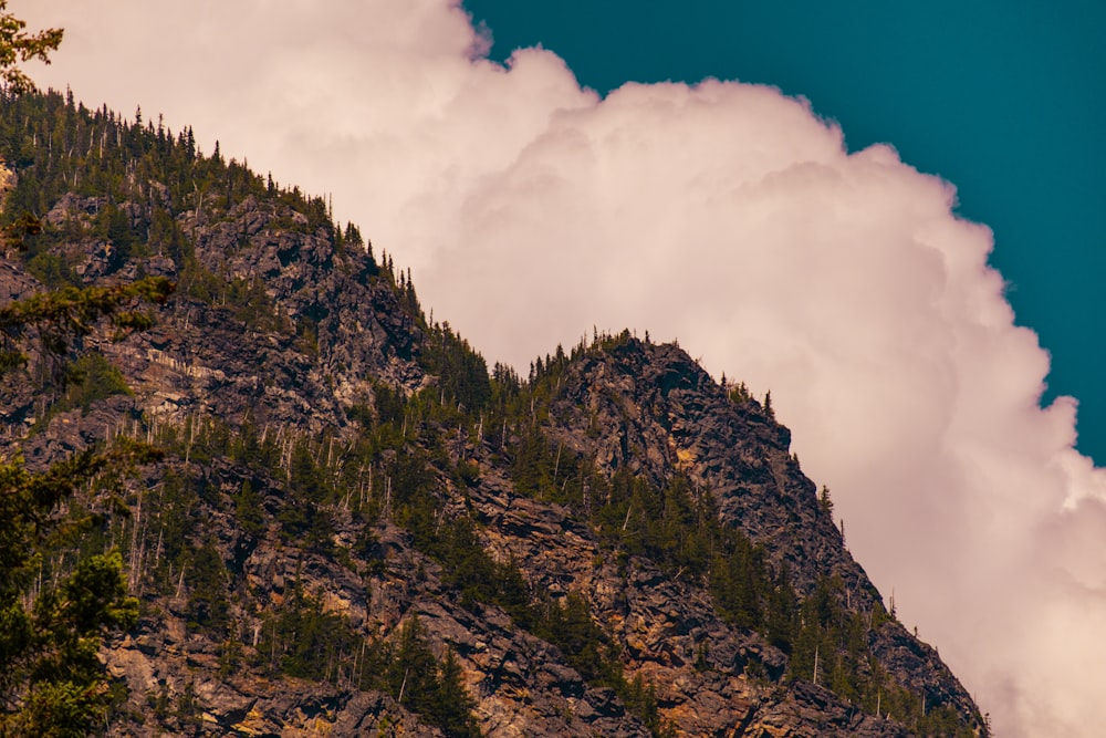 a very tall mountain with some trees on it