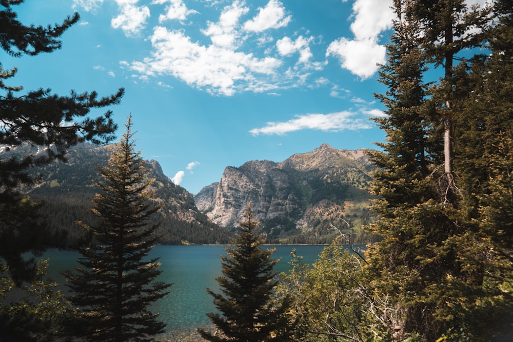 a lake surrounded by trees and mountains under a blue sky