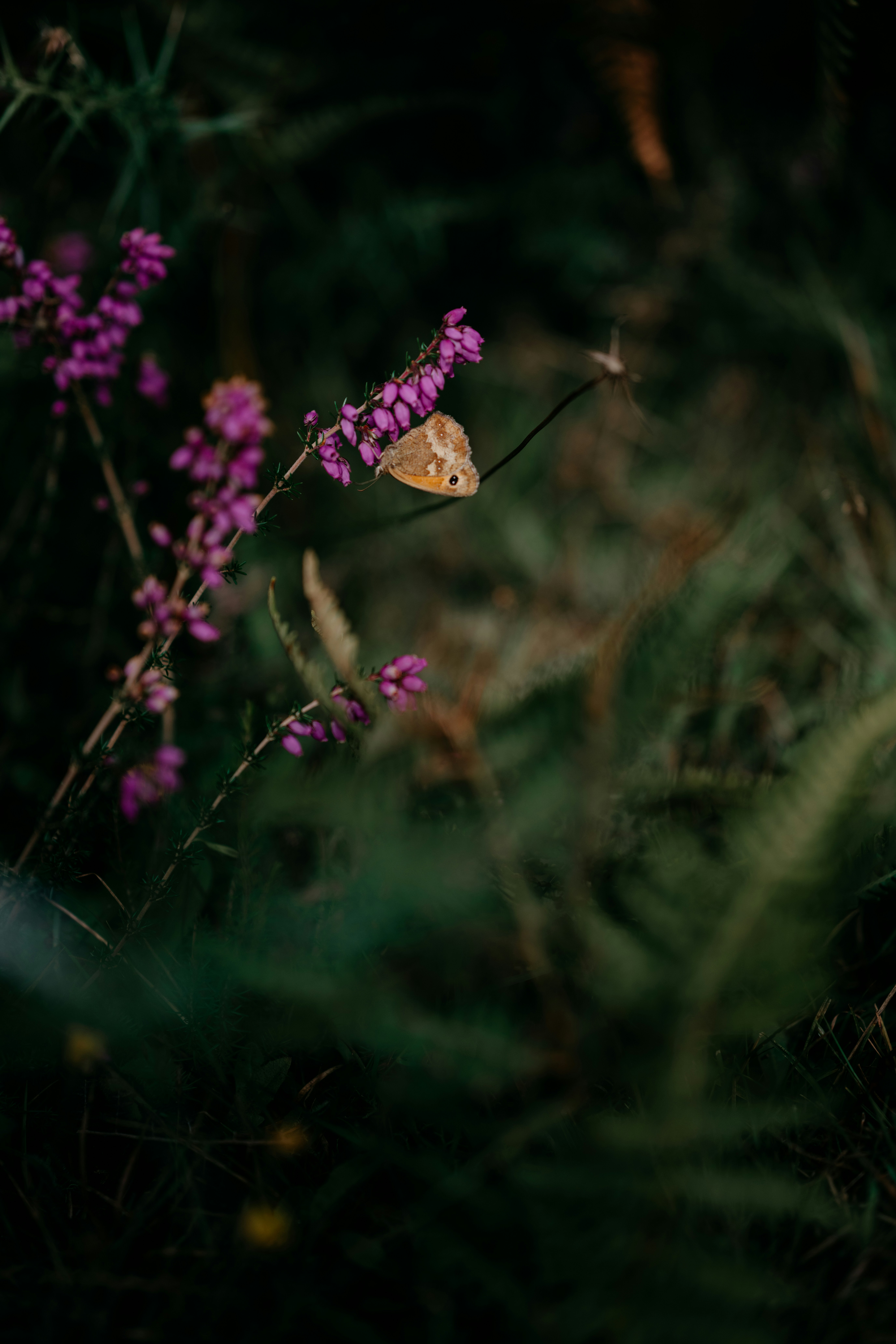 Photo by anniespratt