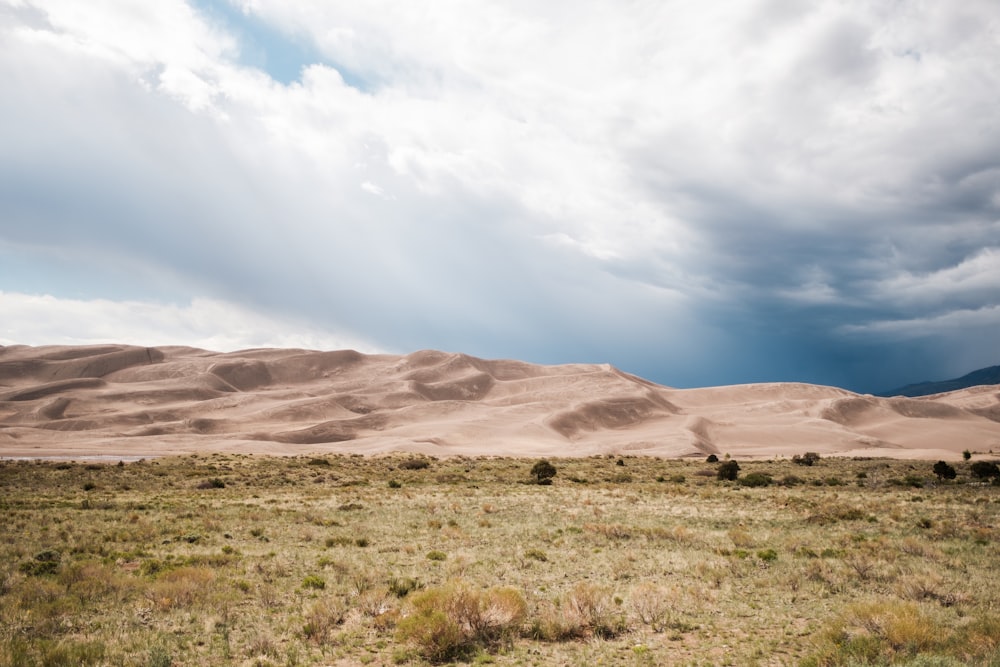 ein Grasfeld mit einem Berg im Hintergrund