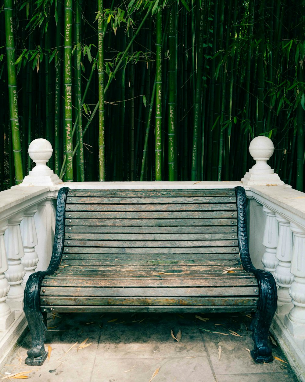 a wooden bench sitting in front of a bamboo forest