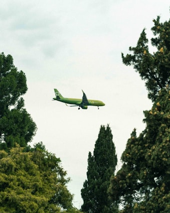 A green airplane is flying in the sky surrounded by dense green trees. The environment appears tranquil with the aircraft smoothly gliding through a clear sky. The natural landscape contrasts with the technological aspects of the airplane.