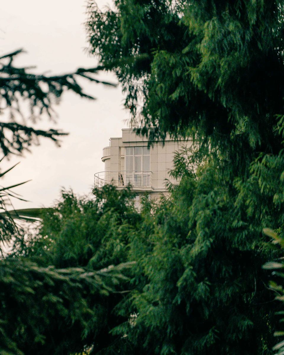 Large white building surrounded by lush green trees and bushes in serene landscape setting