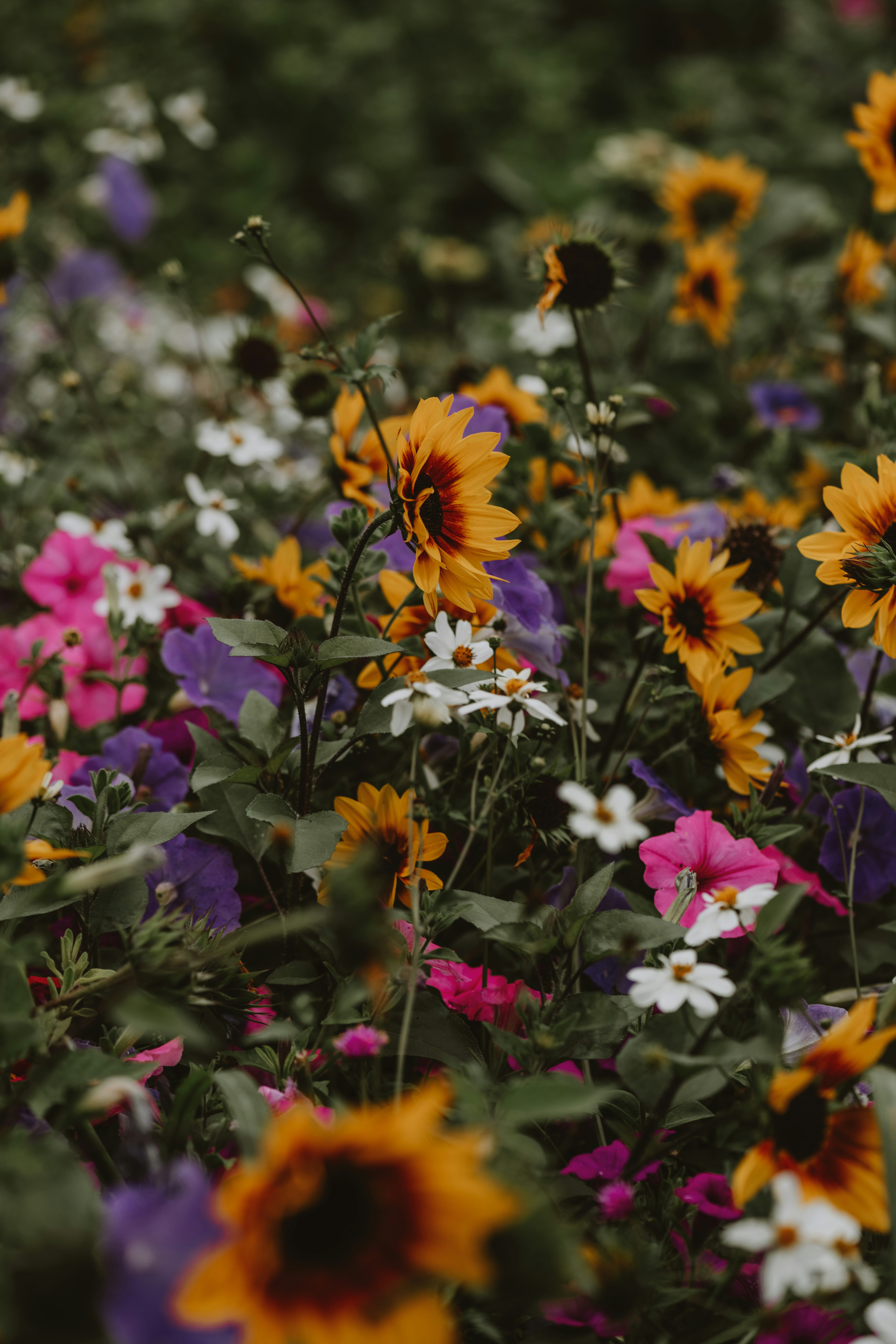 Photo by anitaaustvika