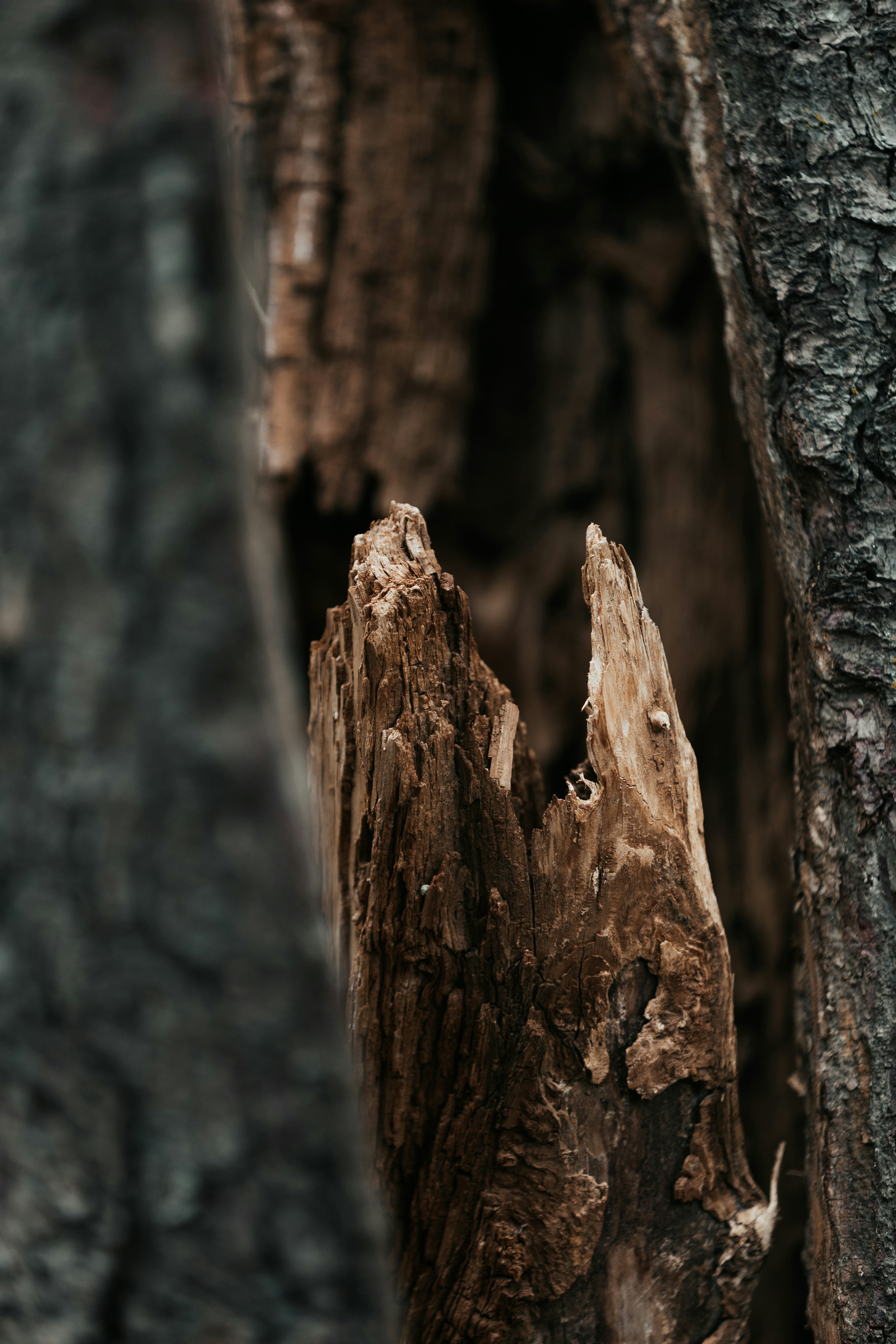 Photo by andrew_creative