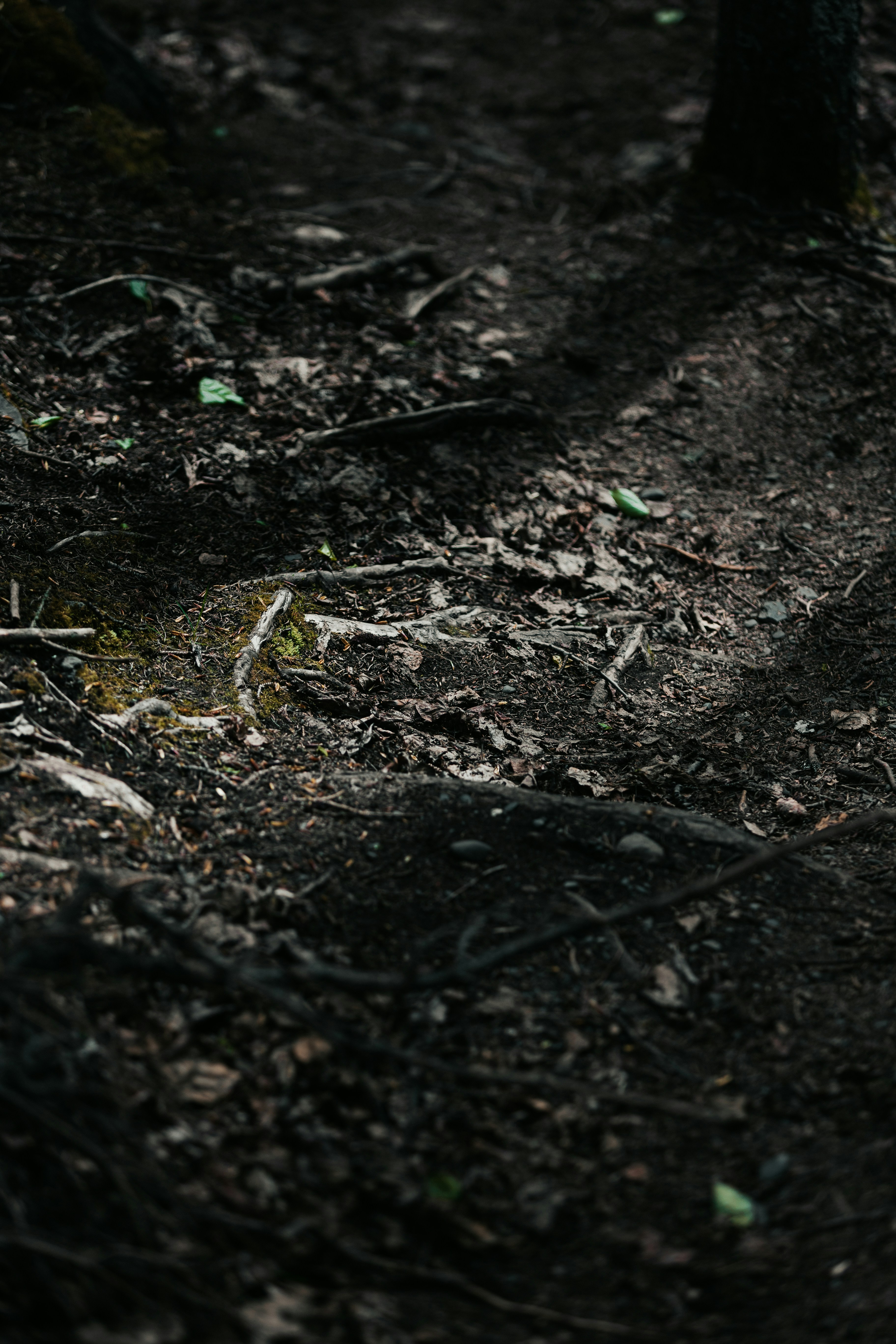 Photo by andrew_creative