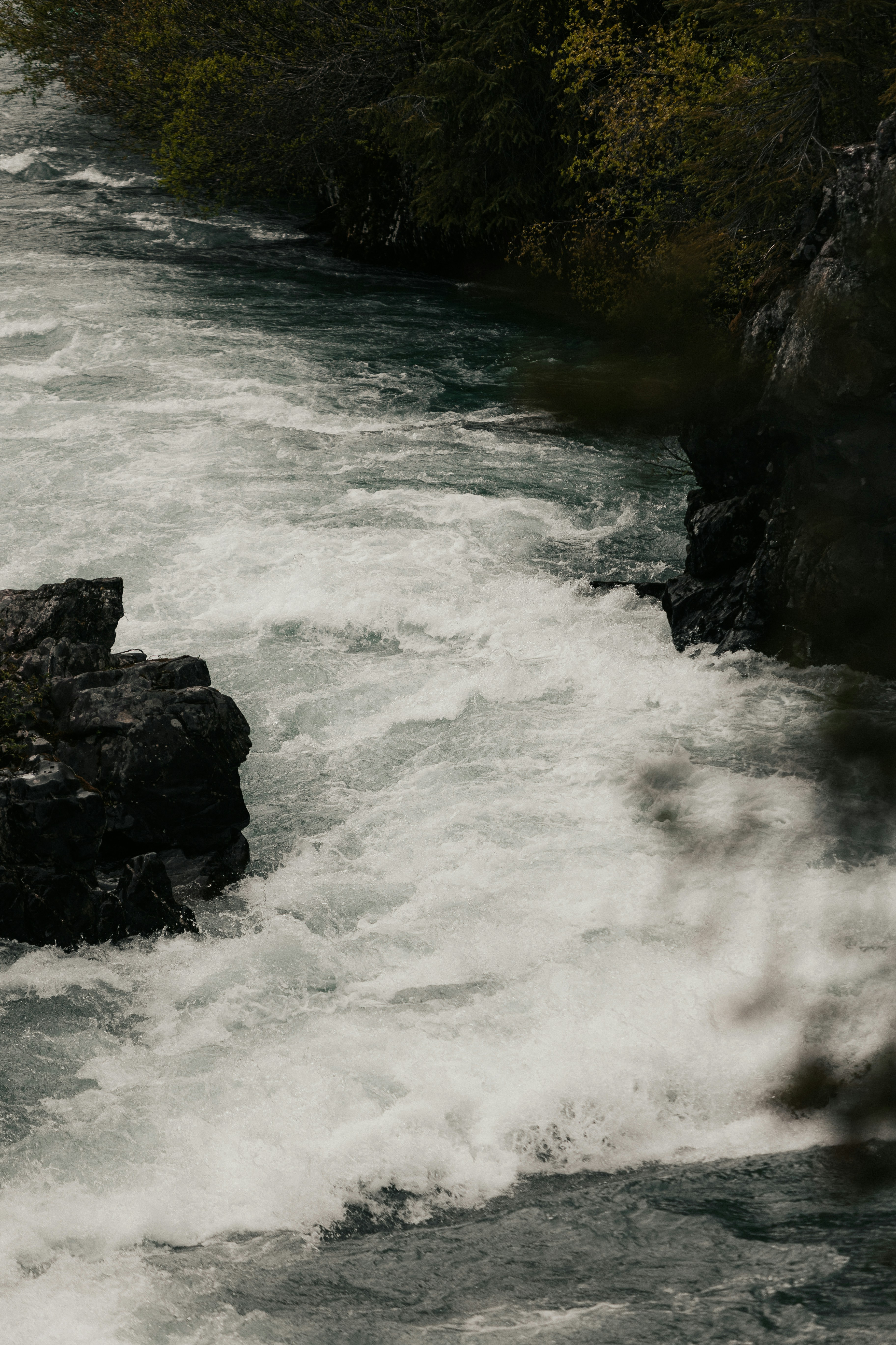 Photo by andrew_creative