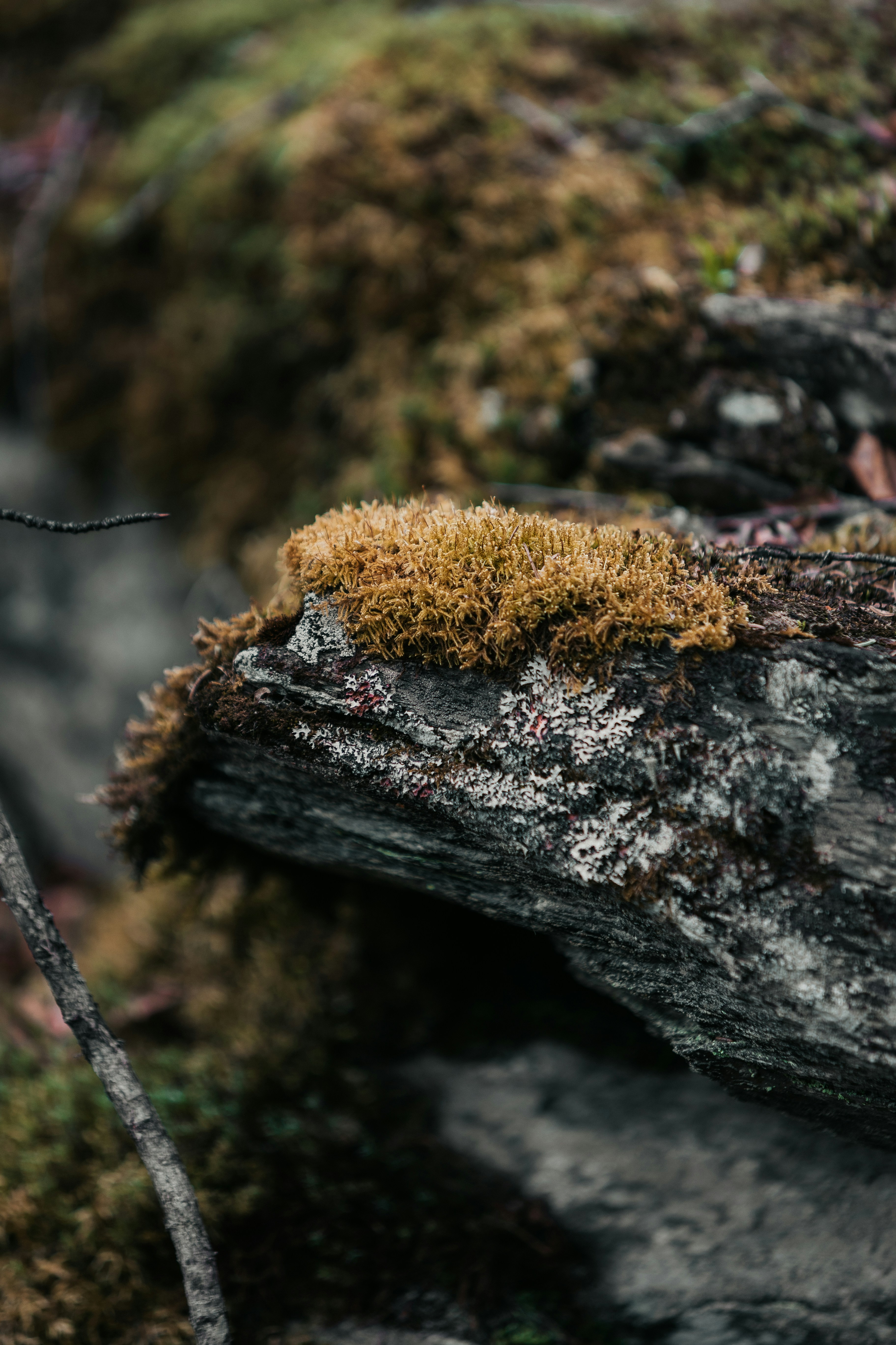 Photo by andrew_creative