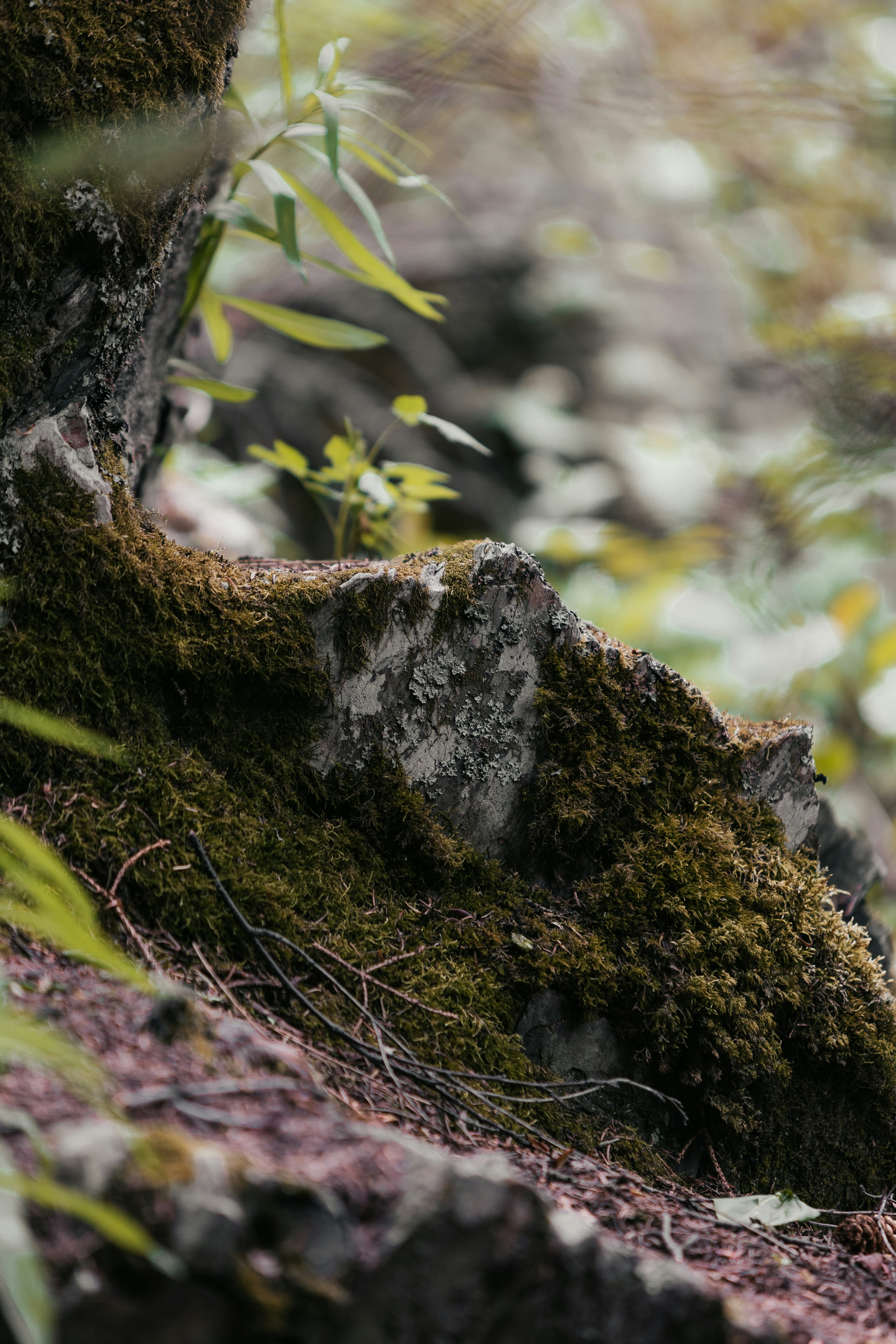 Photo by andrew_creative