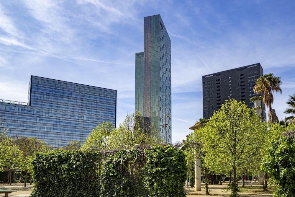 a tall building sitting next to a lush green park