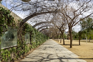 Parque del centre de Poblenou