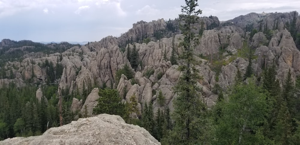 a view of a rocky mountain with a tree growing out of it