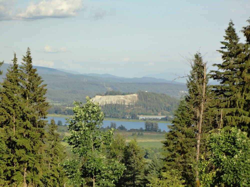 a scenic view of a lake surrounded by trees