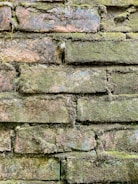 Technician using soft-wash applicator on a moss-covered brick façade.