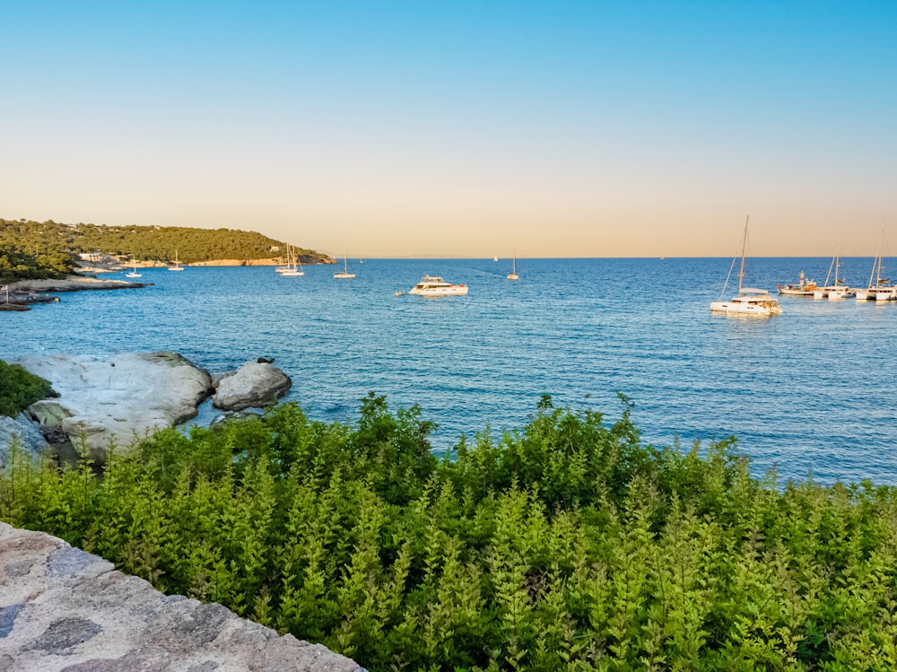 a body of water with boats in the distance