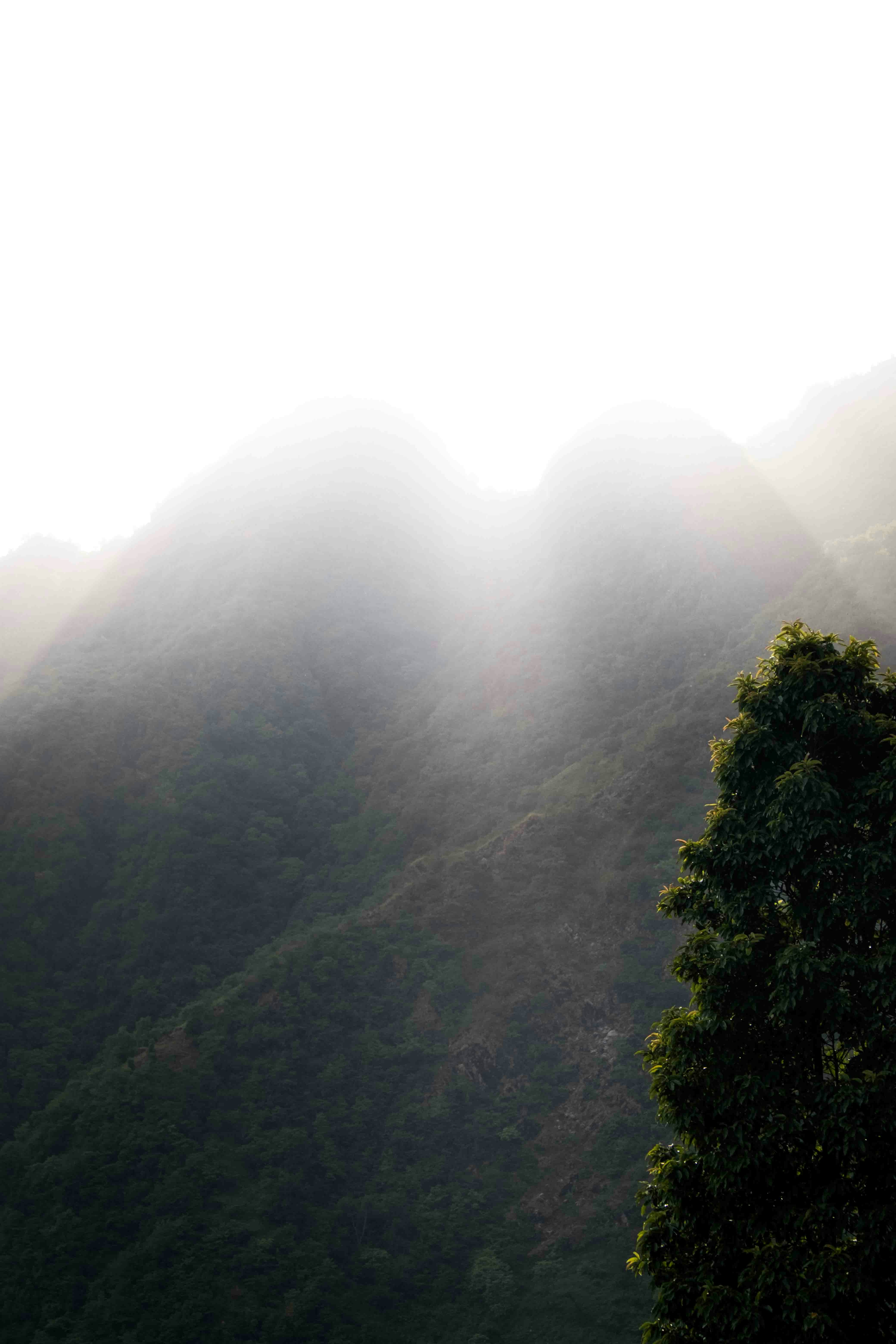 Photo by dropfastcollective