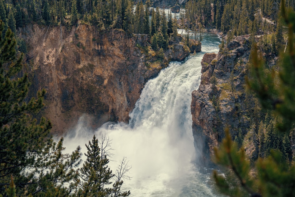 a large waterfall surrounded by trees in a forest