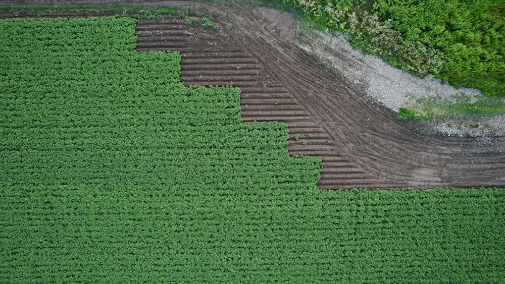 an aerial view of a farm field with rows of crops