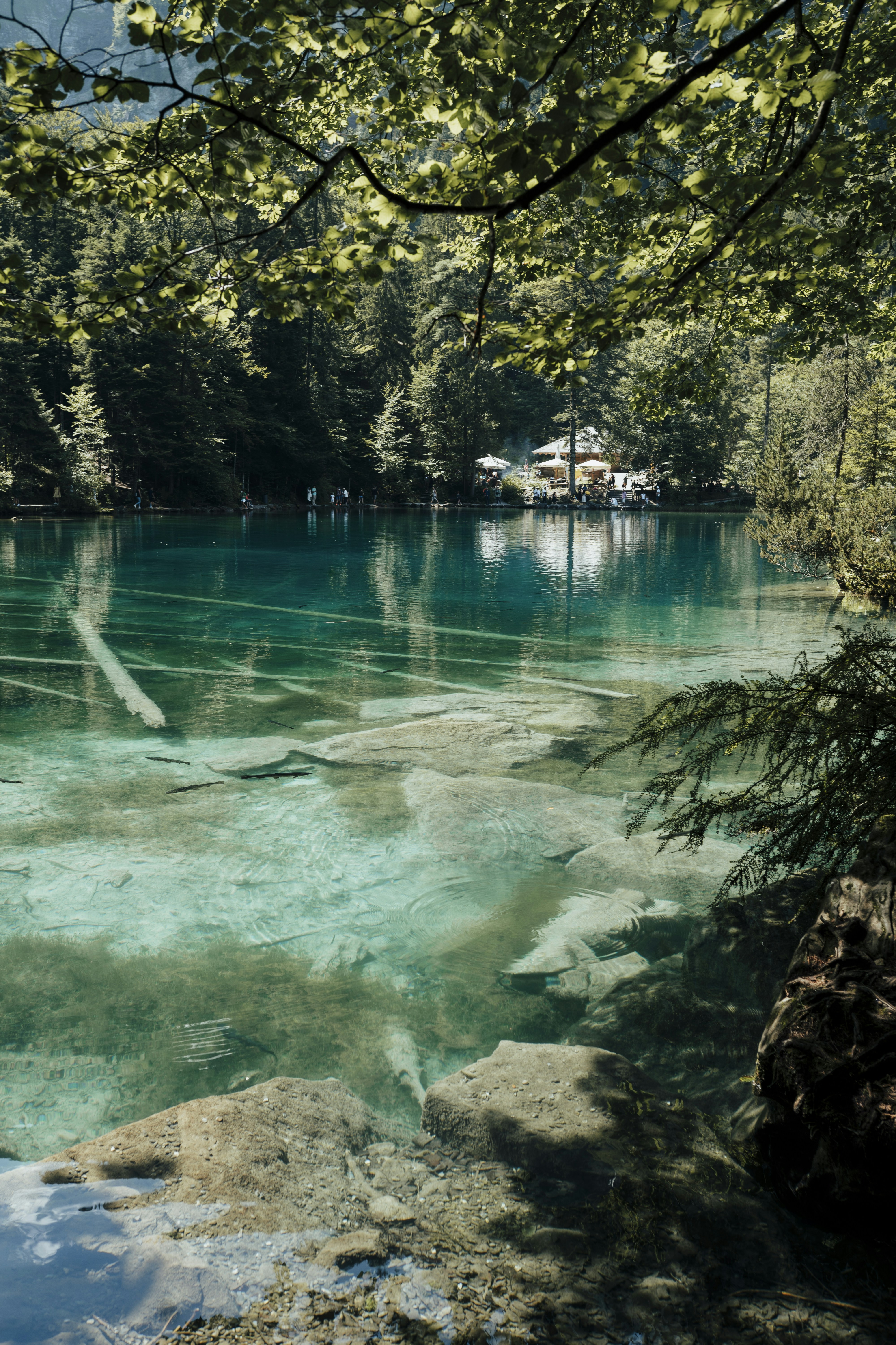 Photo by what_co_capture