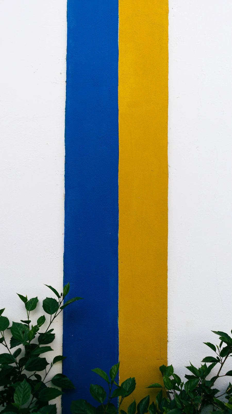 Saubere Farbkante an einer frisch gestrichenen Wand