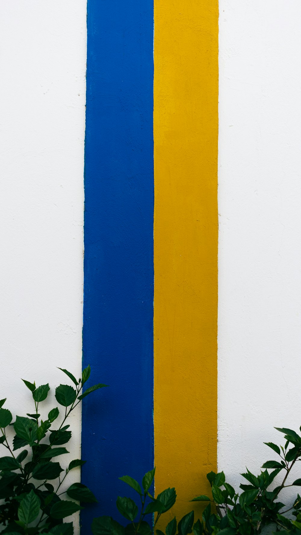 a white wall with a blue and yellow strip painted on it