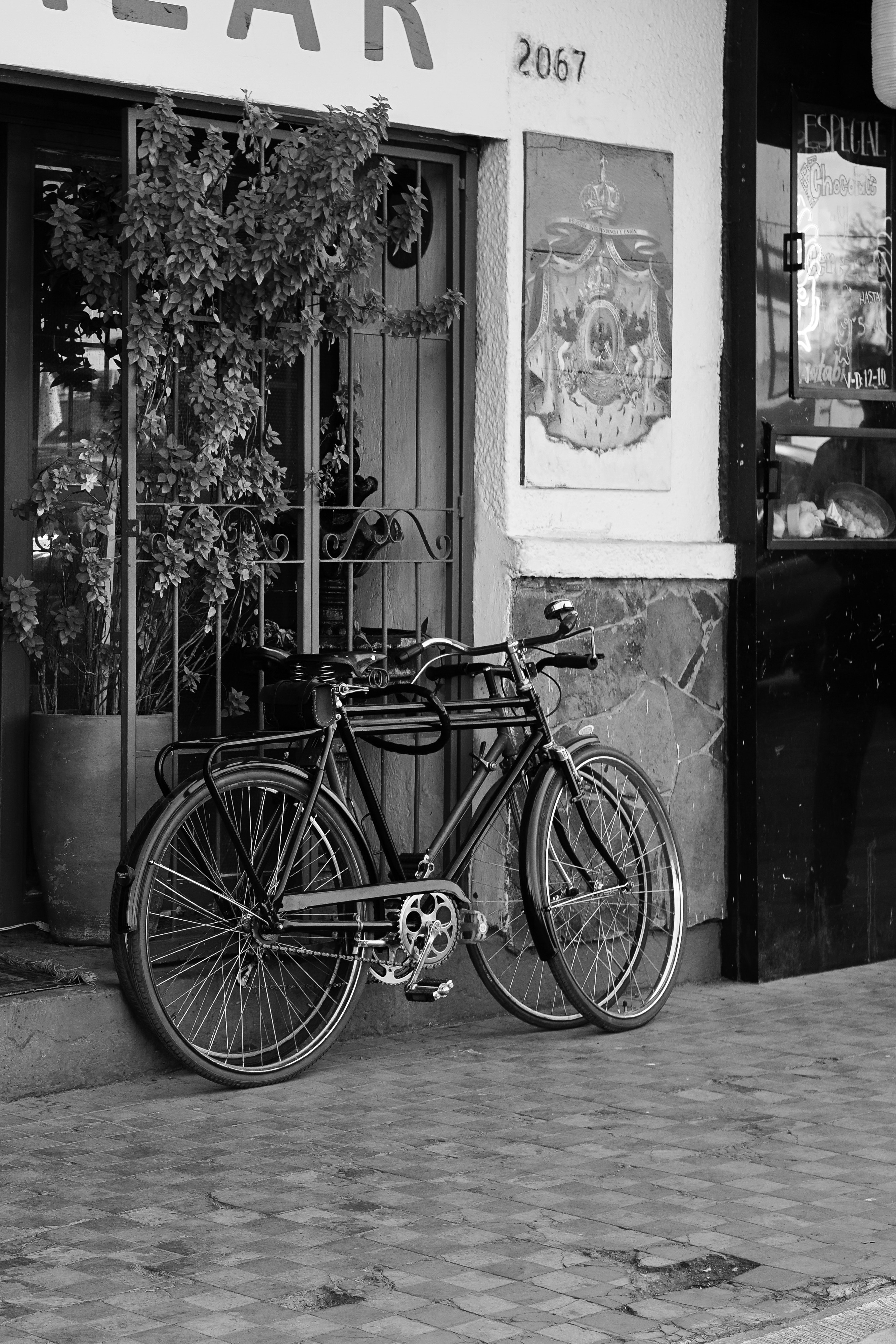 Photo by brunocervera