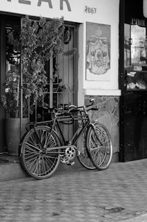 Two bicycles are leaning against the metal gate of a storefront. There is a potted plant with dense foliage next to the bicycles. The storefront has a festive or artistic sign on the wall and a number '2067' is visible above it. The scene is in black and white, giving it a vintage feel.